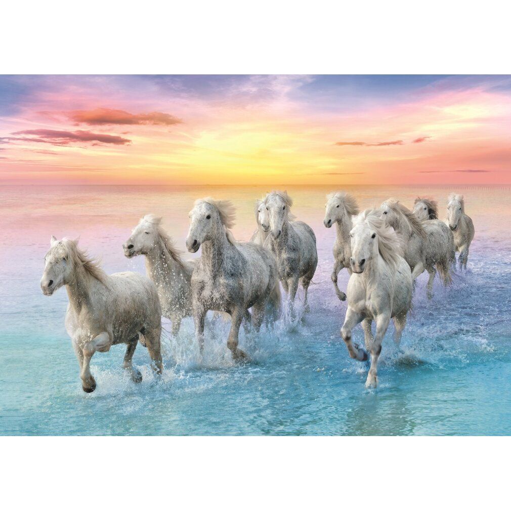 Puzzle 500 pezzi Cavalli al galoppo
