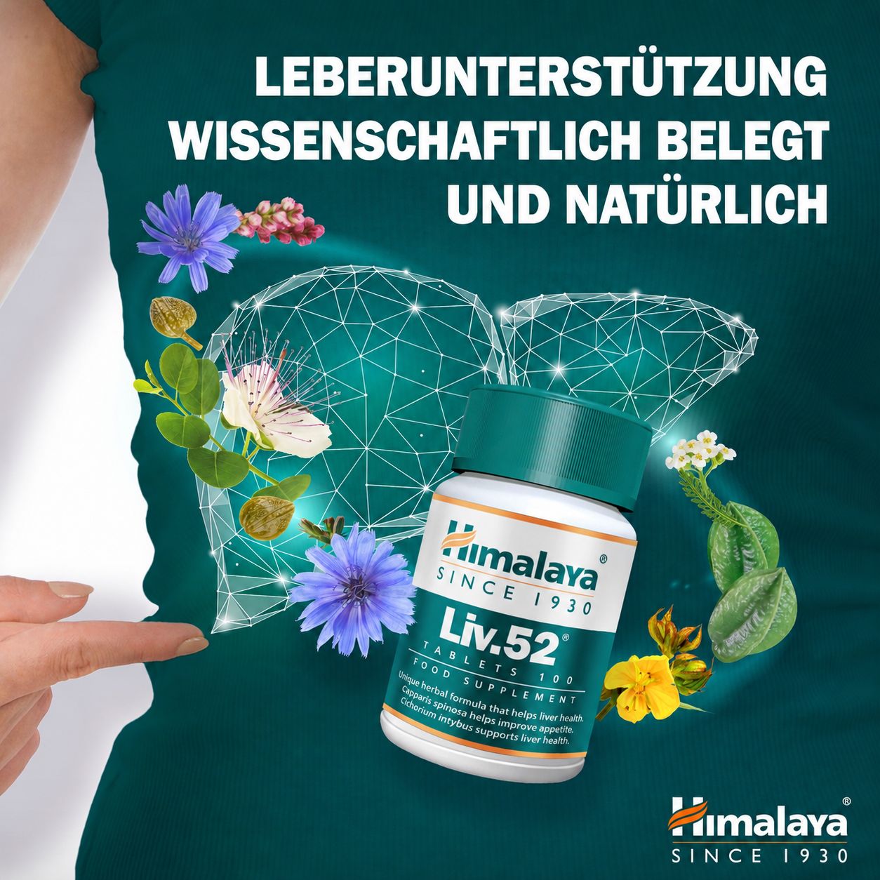 Himalaya Liv.52 Compresse: flacone davanti a un fegato stilizzato con erbe.