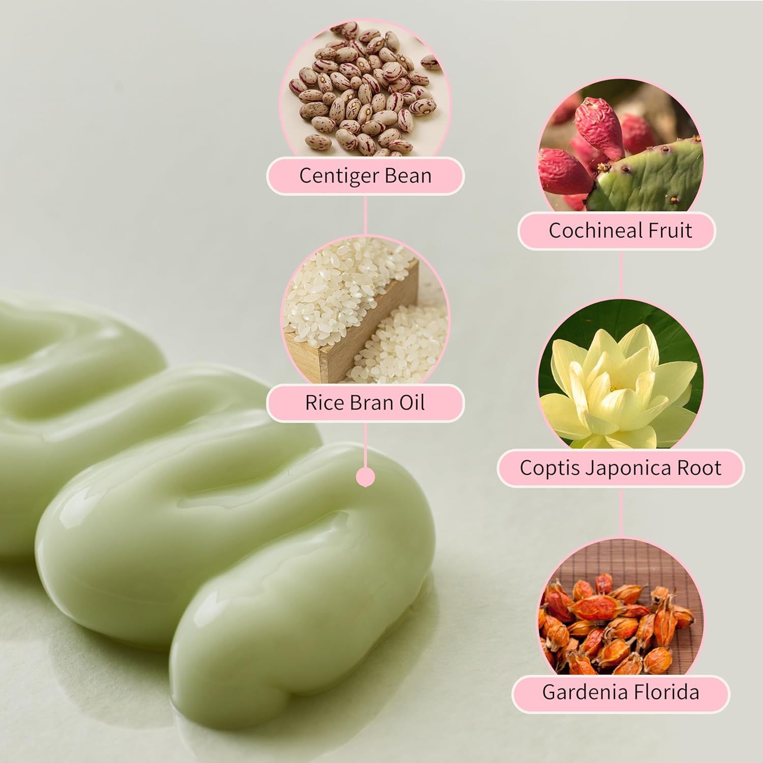 Primo piano di crema verde. Ingredienti: Centiger Bean, Cochineal Fruit, Rice Bran Oil, Coptis Japonica Root, Gardenia Florida.