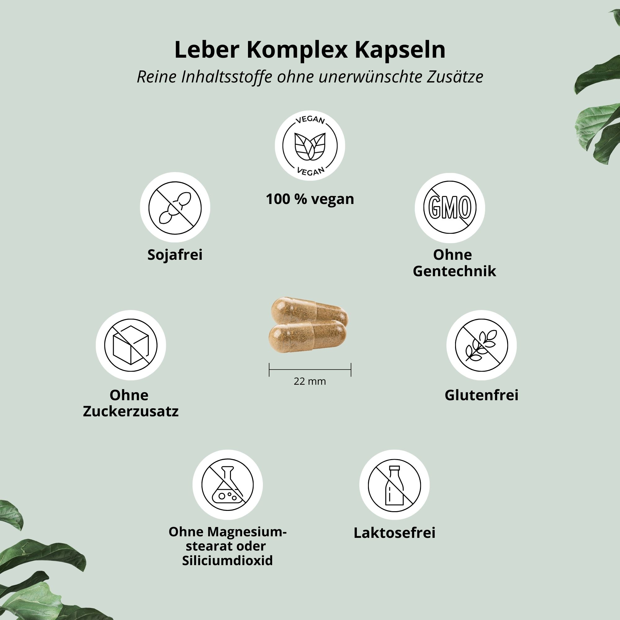 Due capsule, lunghe 22 mm, circondate da icone: vegano, senza soia, senza zucchero, senza OGM, senza glutine, senza lattosio.