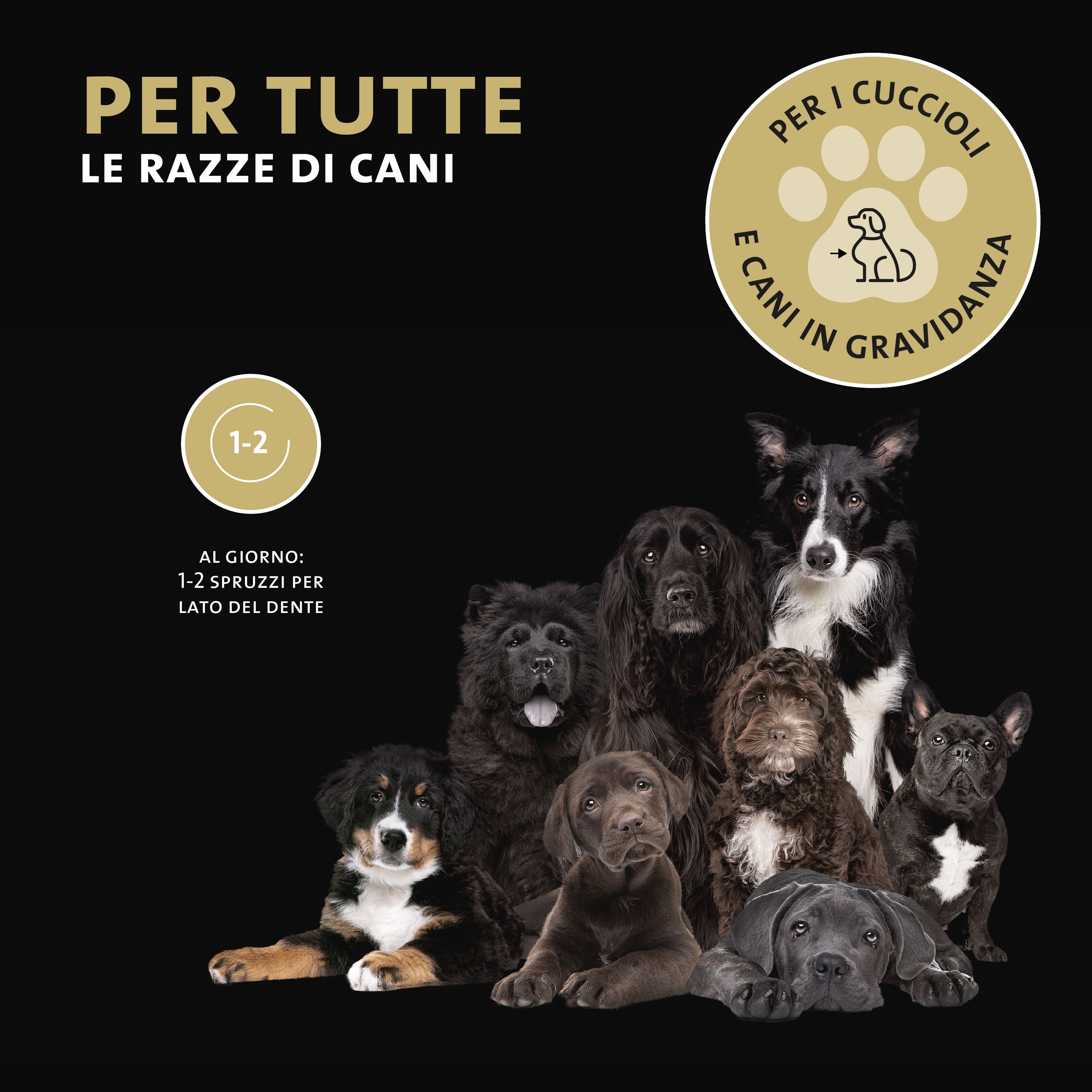 Diversi cani su sfondo nero. Testo: PER TUTTE LE RAZZE DI CANI. Con simboli per cuccioli e cagne gravide. Testo: 1-2 spruzzi.