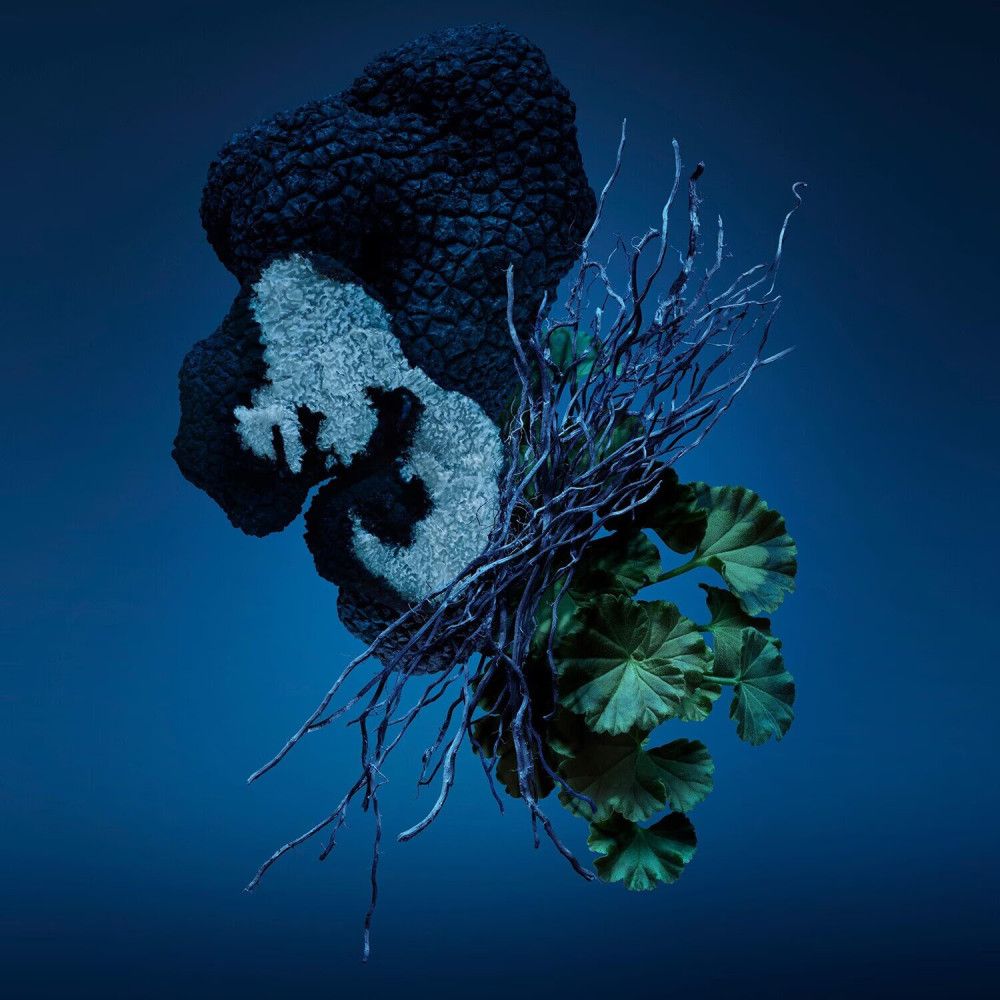 Composizione astratta con elementi vegetali blu e verdi su sfondo blu scuro.