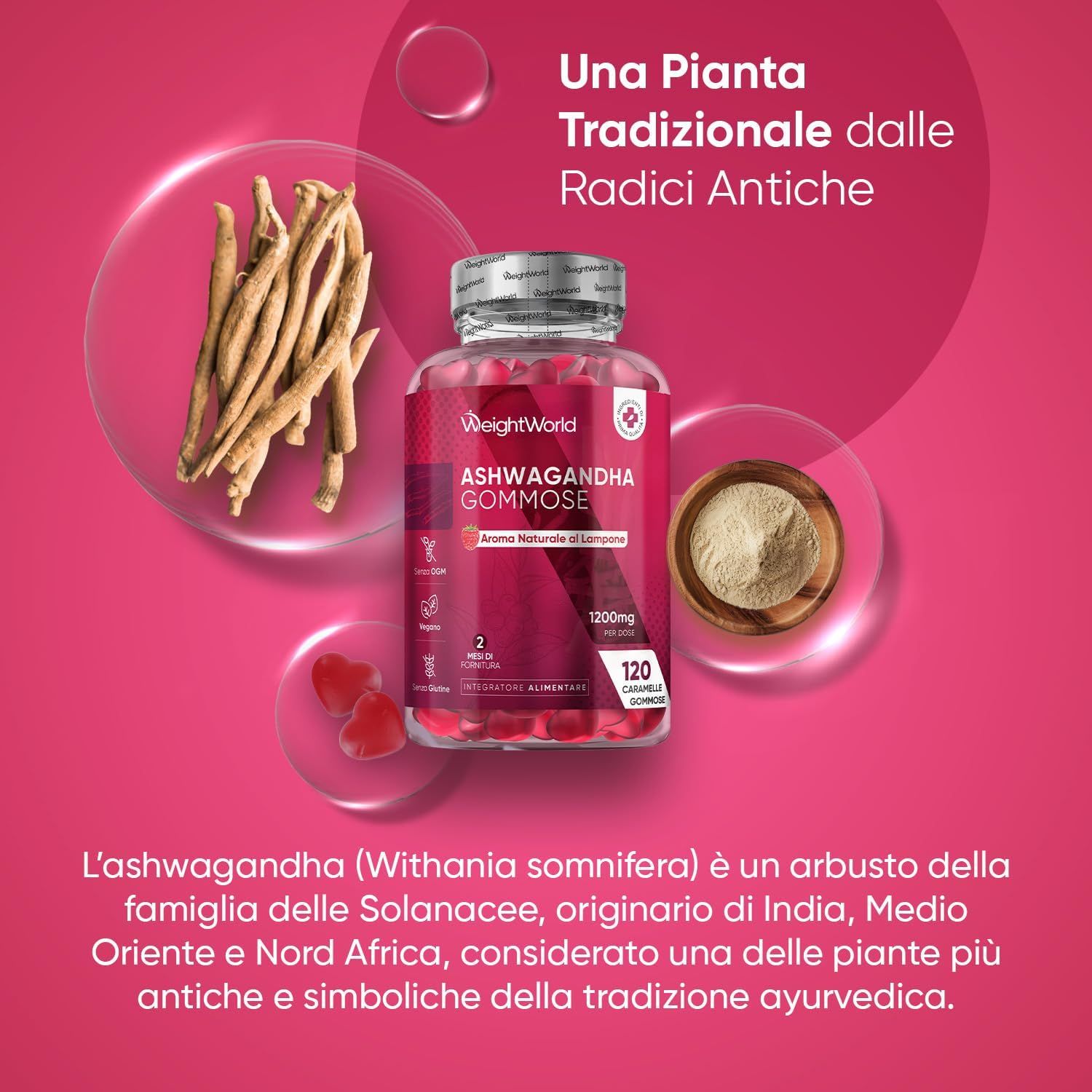 Flacone di caramelle gommose, radice di ashwagandha, polvere in una ciotola. Testo: Ashwagandha Gommose, 1200mg, 120 gommose.
