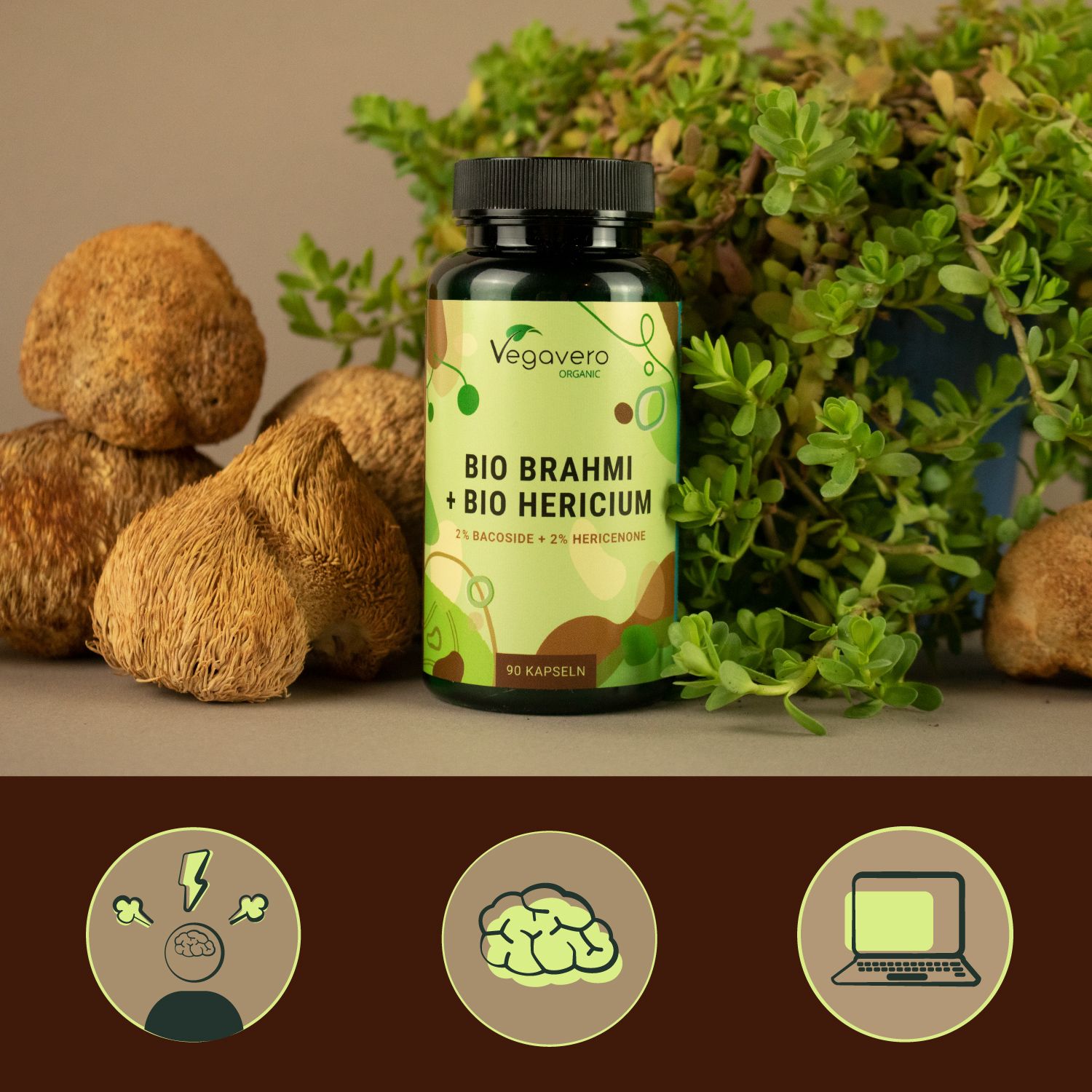 Flacone di capsule davanti alle piante. Testo: Vegavaro, BIO Brahmi + BIO Hericium, 90 capsule. Tre icone: cervello, laptop, fulmine.