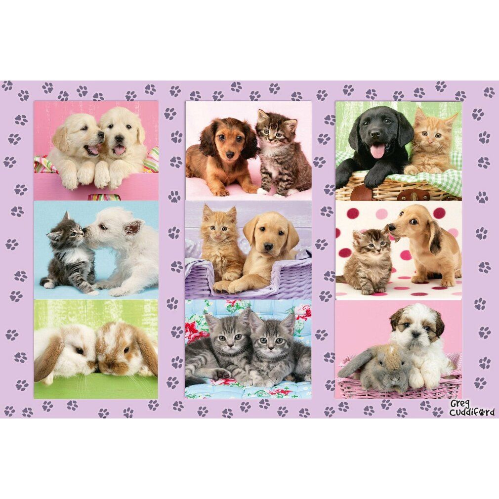 schmidt Puzzle i miei amici animali 100 pezzi