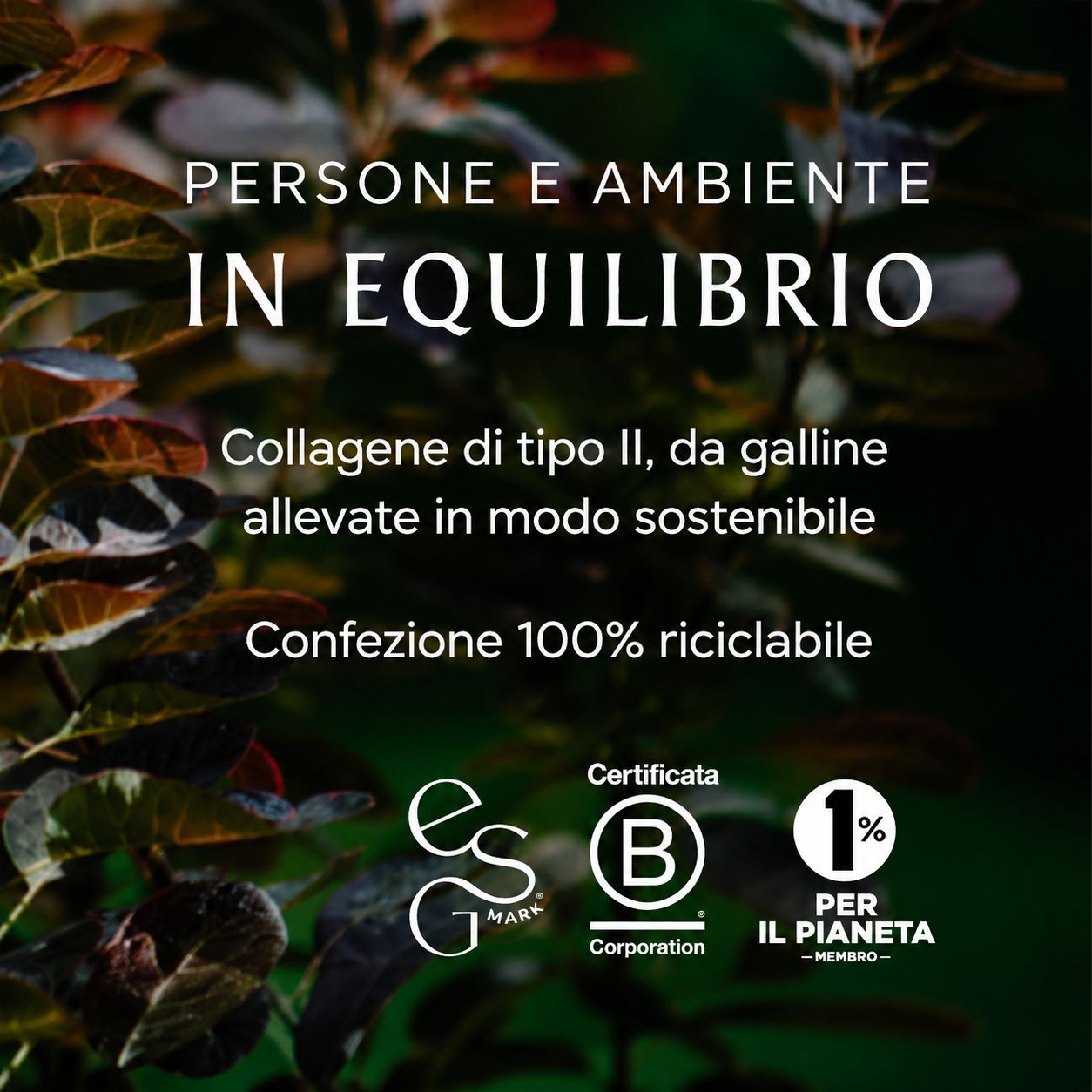 Ancient + Brave Capsule Noble Collagen