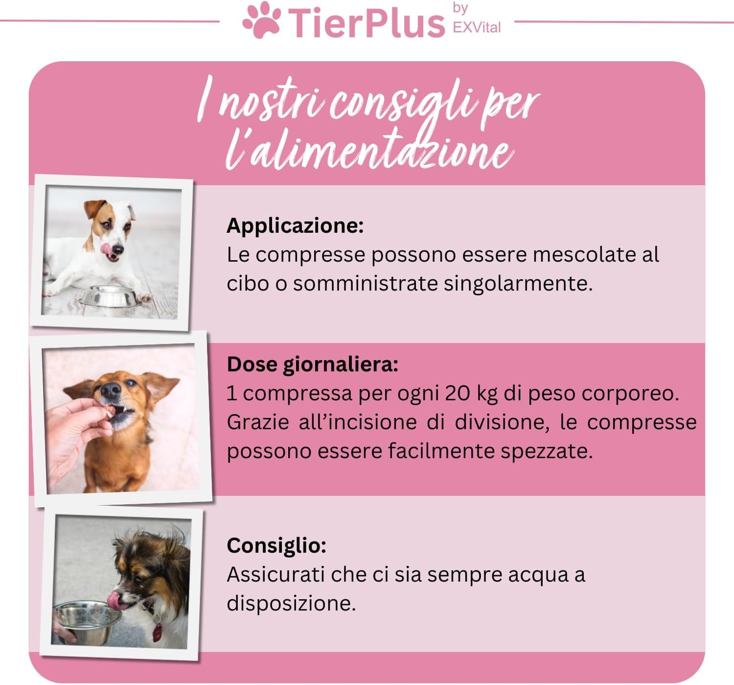Certificato di mylab international per EXVital GmbH, testato per 'Pelo Splendido'.