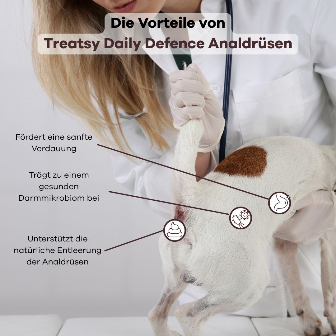 Veterinario esamina cane. Testo: Vantaggi di Treatsy Daily Defence Ghiandole anali. Grafici mostrano digestione e intestino.