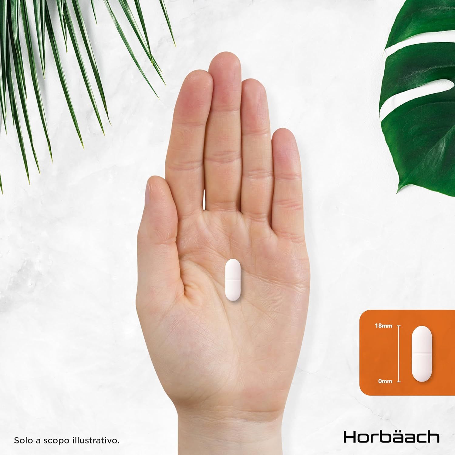 Compressa in una mano. Dimensioni: 18mm x 6mm. Horbaach L-Glycine.