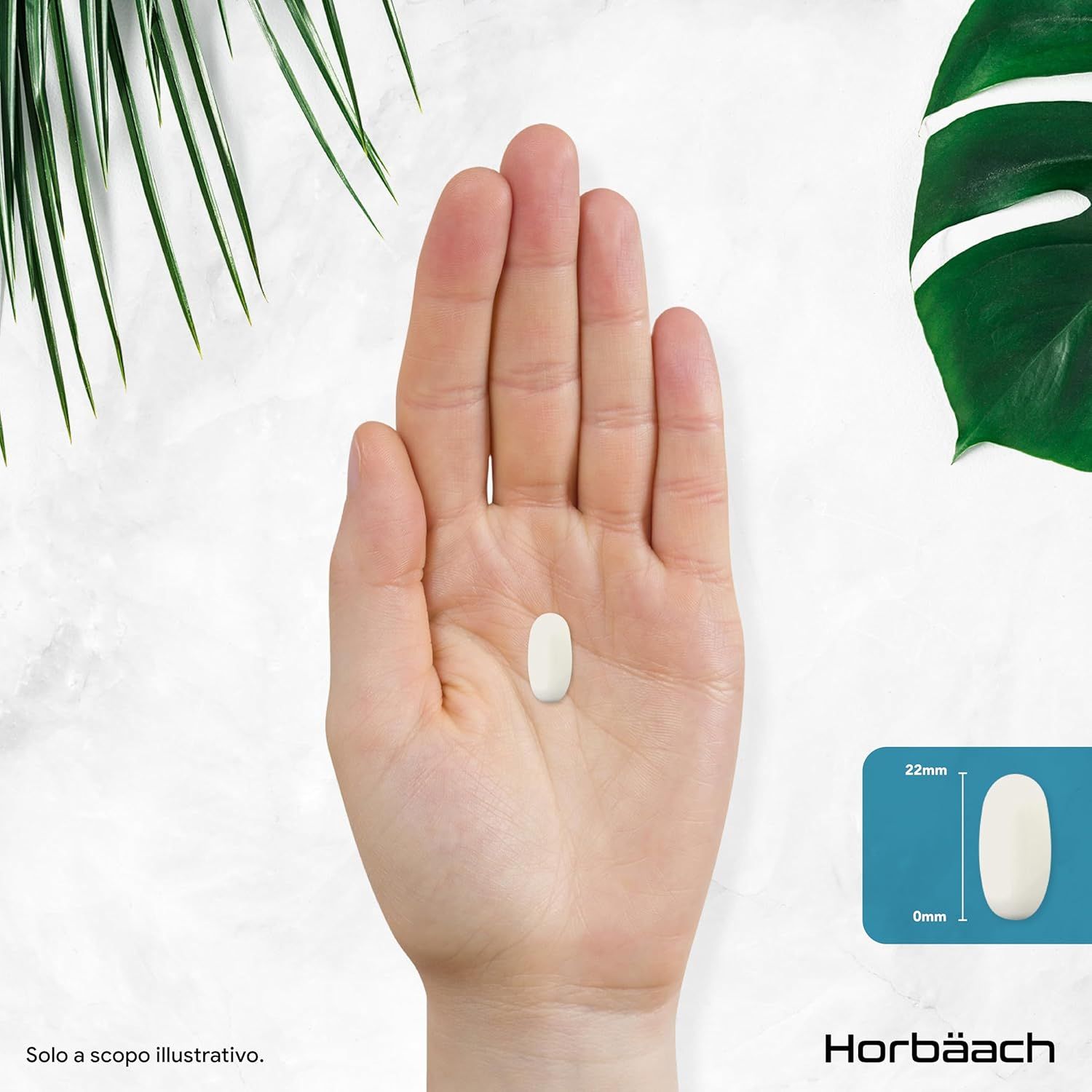 Una compressa ovale bianca in una mano. Dimensioni: 22mm x 9mm. Horbaach.