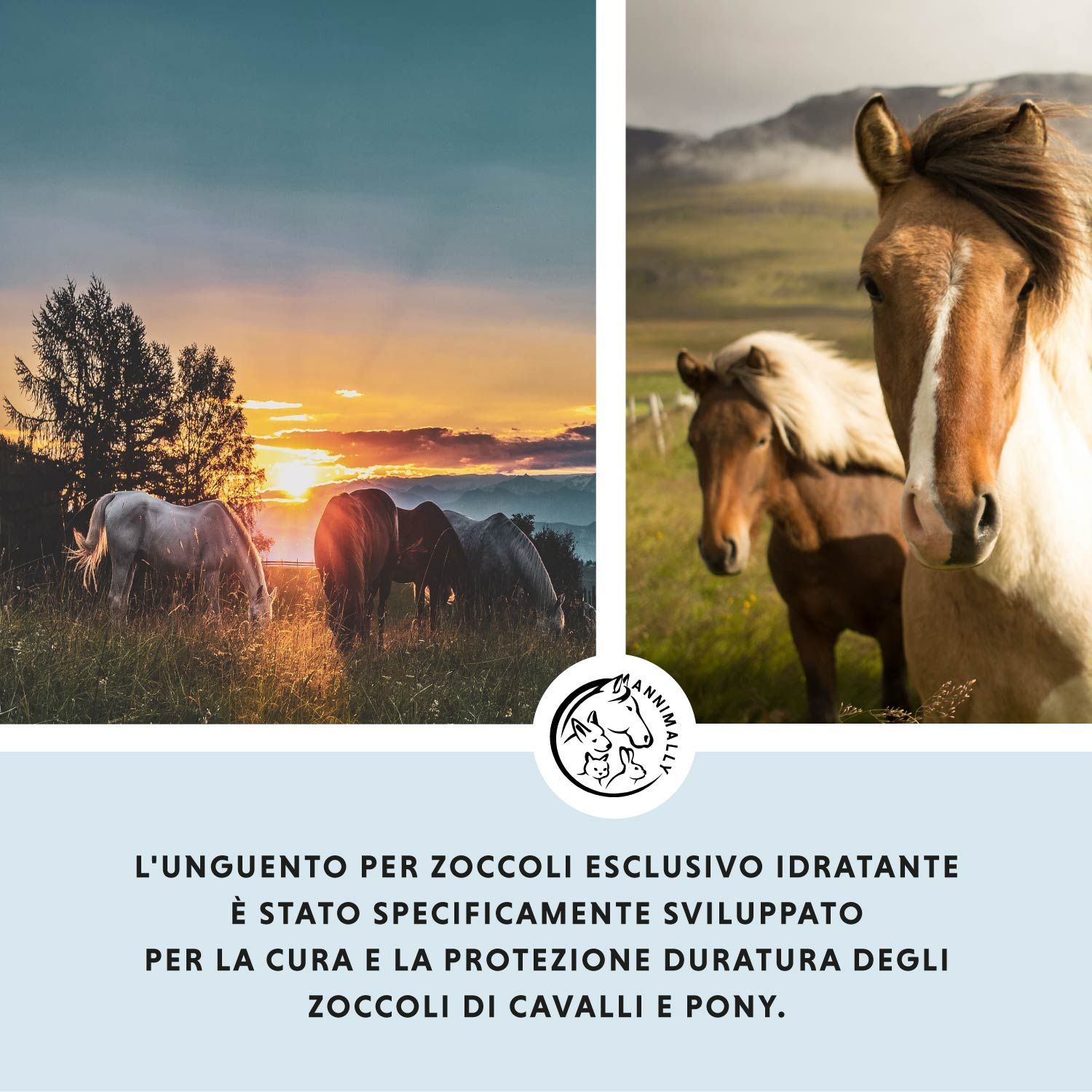 Due cavalli in un prato. Testo: L'unguento per zoccoli esclusivo idratante è stato specificamente sviluppato per la cura.