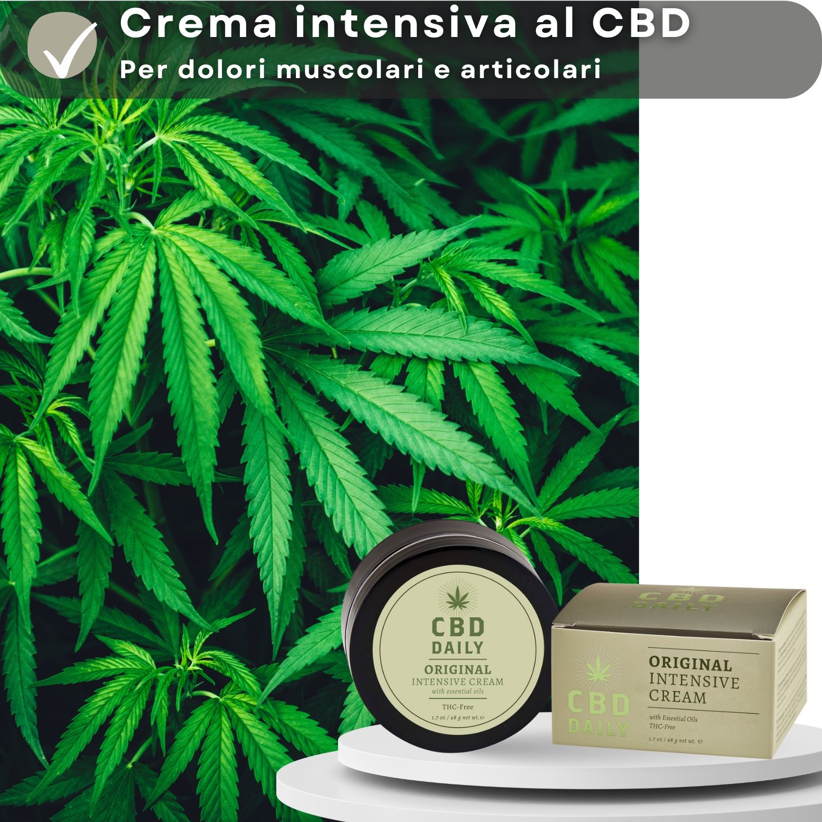 Barattolo e scatola di crema. Scritta: CBD DAILY. Sfondo: foglie verdi.