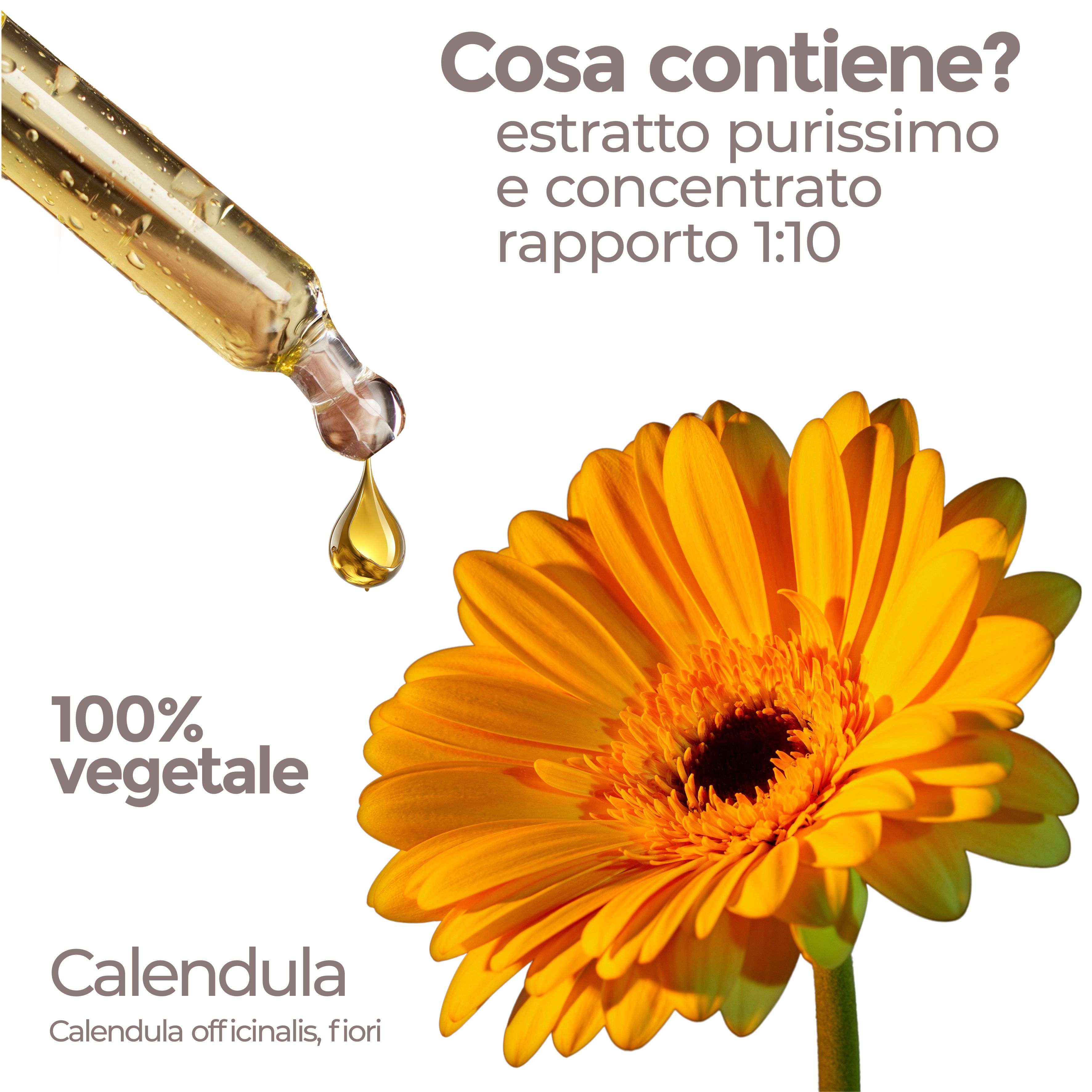 Pipetta con liquido giallo, goccia. Fiore giallo. Testo: 100% vegetale, Calendula. Calendula officinalis, fiori.