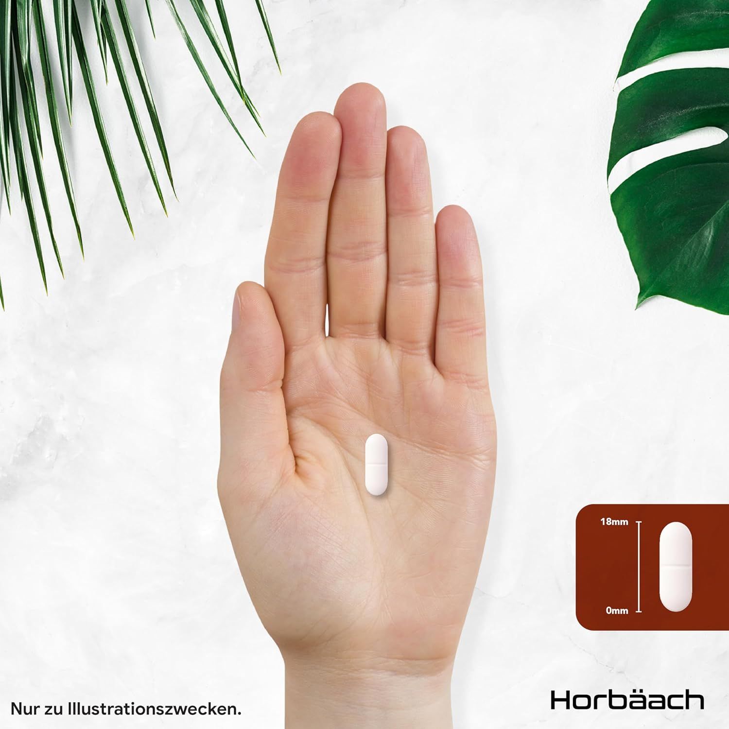 Compressa in una mano. Dimensioni: 18mm x 6mm. Horbaach L-Glycine.