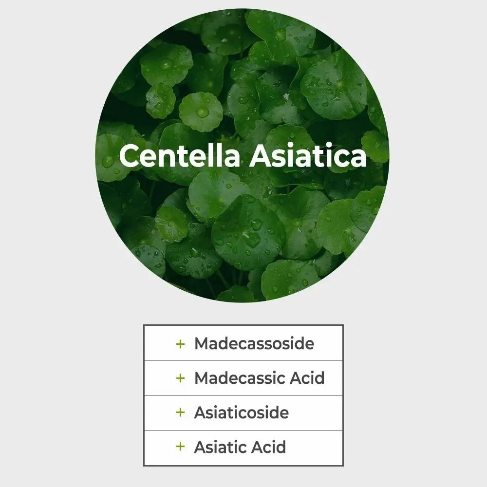 Cerchio con foglie di Centella Asiatica. Testo: Centella Asiatica. Elenco degli ingredienti sottostante.