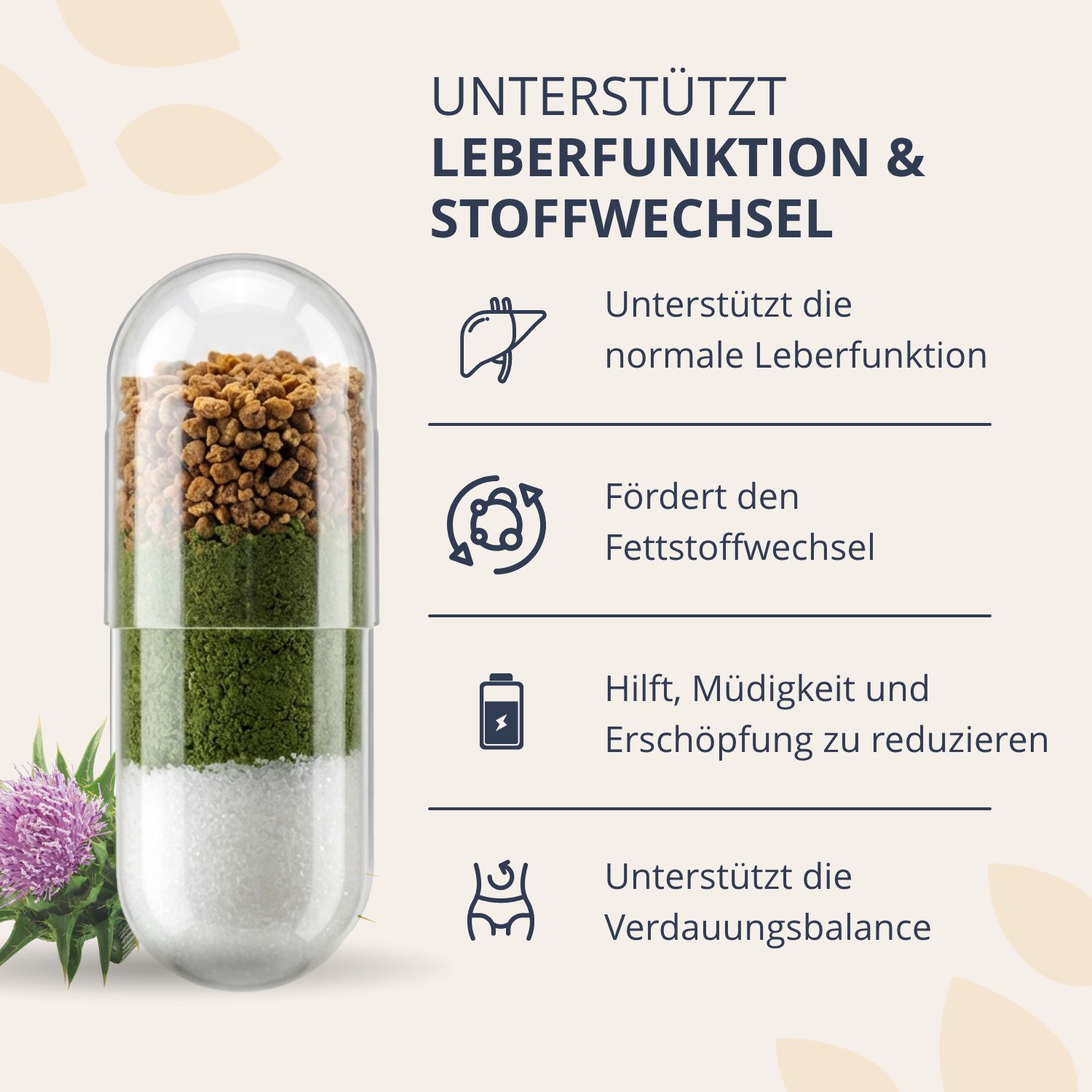 Vista dettagliata di una capsula Golden Tree Liver Complex, che mostra strati di ingredienti come il cardo mariano.