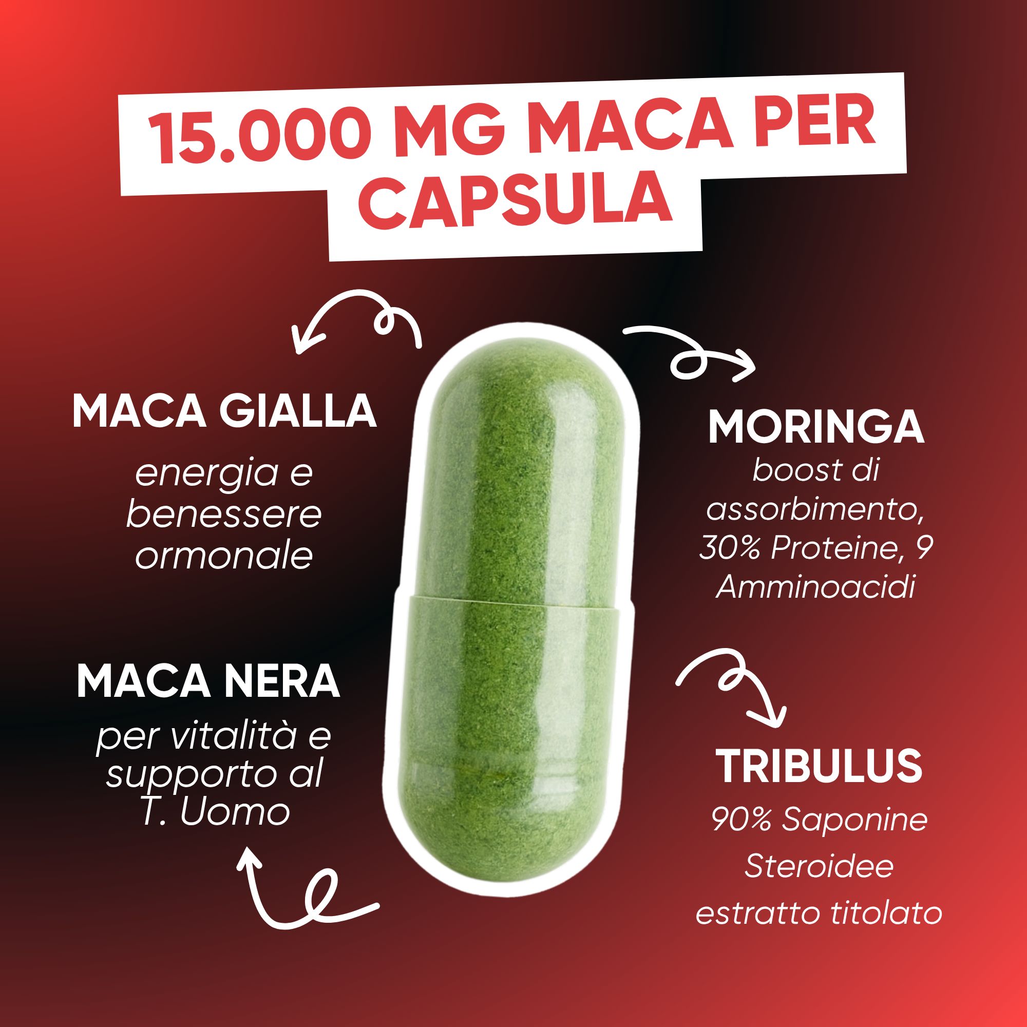 Capsula verde con testo su Maca, Moringa e Tribulus.