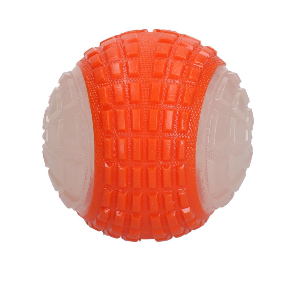 Cane Comete Luna Arancione Brillante al Buio s