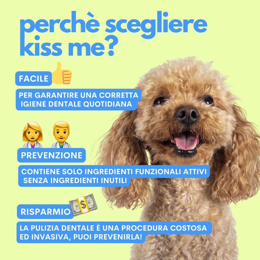 Cane barboncino. Testo: "Perché scegliere KISS ME?". Vantaggi: "Facile", "Igiene dentale quotidiana", "Prevenzione", "Ingredienti funzionali", "Risparmio".