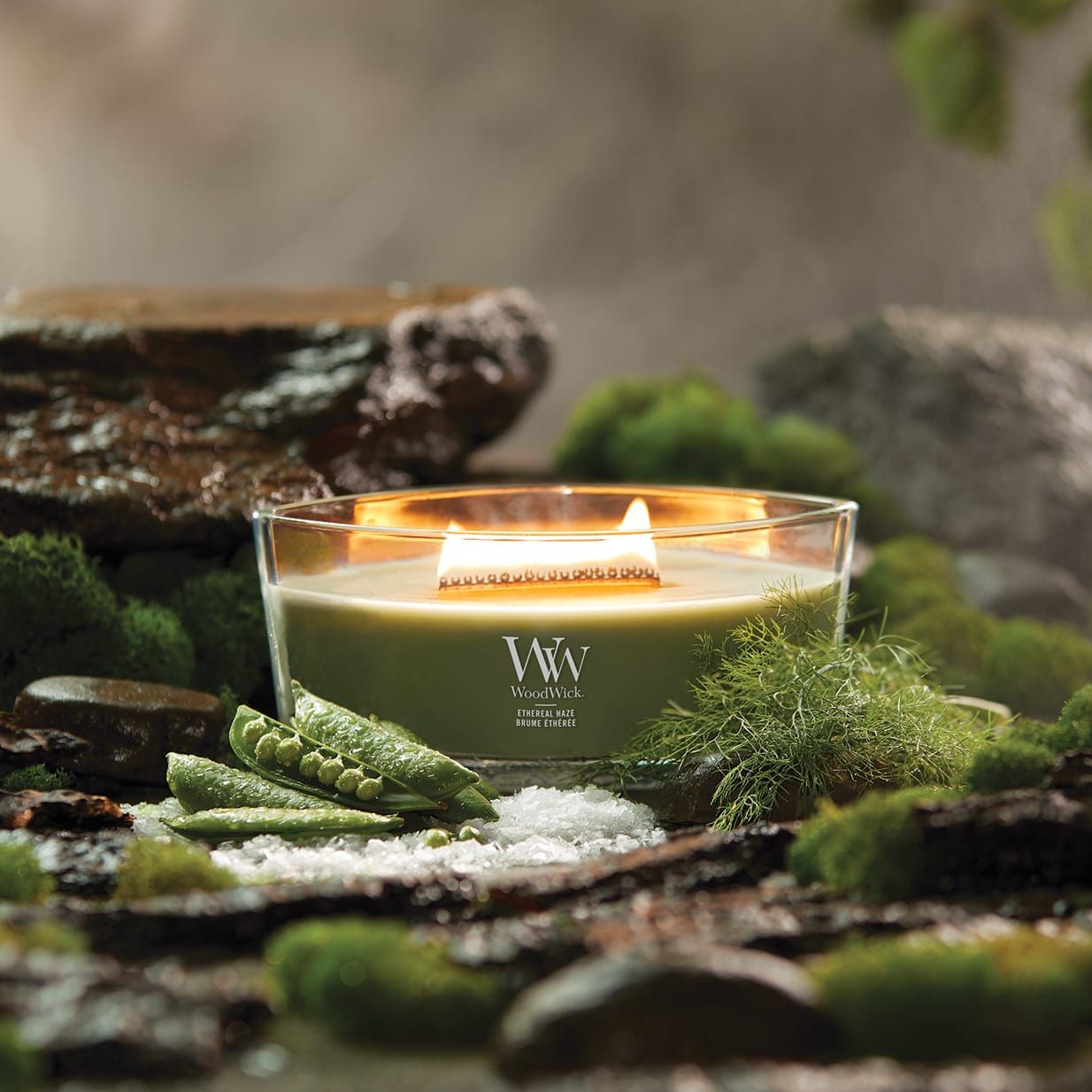 Candela Woodwick Ellipse con stoppino in legno. Cera verde in contenitore di vetro. Logo 'WW'. Ambiente naturale.
