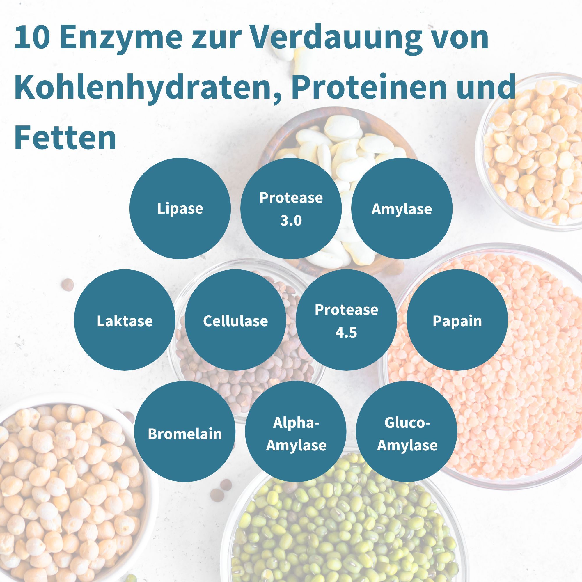 Grafico che mostra 10 enzimi: Lipasi, Proteasi, Amilasi, Lattasi, Cellulasi, Papaína, Bromelina, Alfa-Amilasi, Gluco-Amilasi.