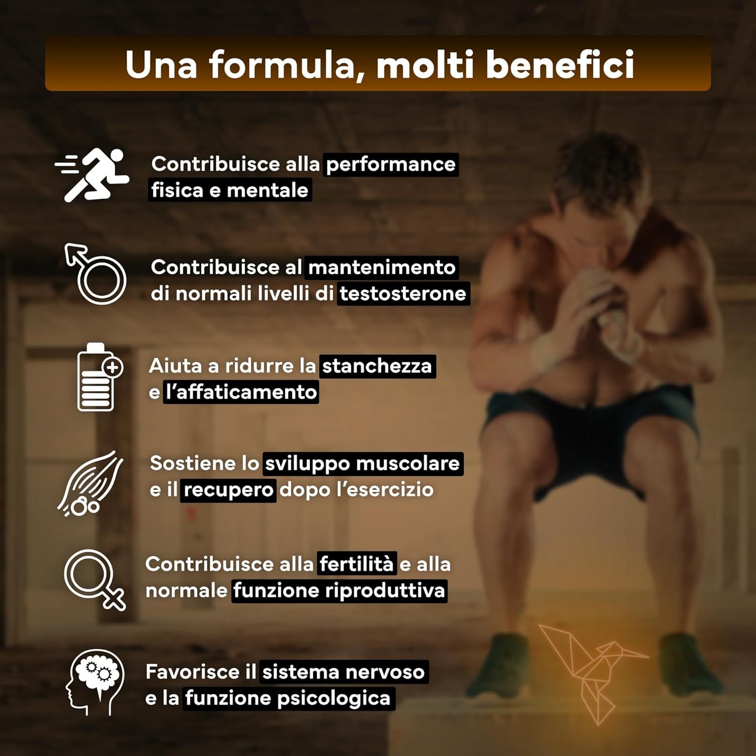 SEVENS NUTRITION Capsule di Maca