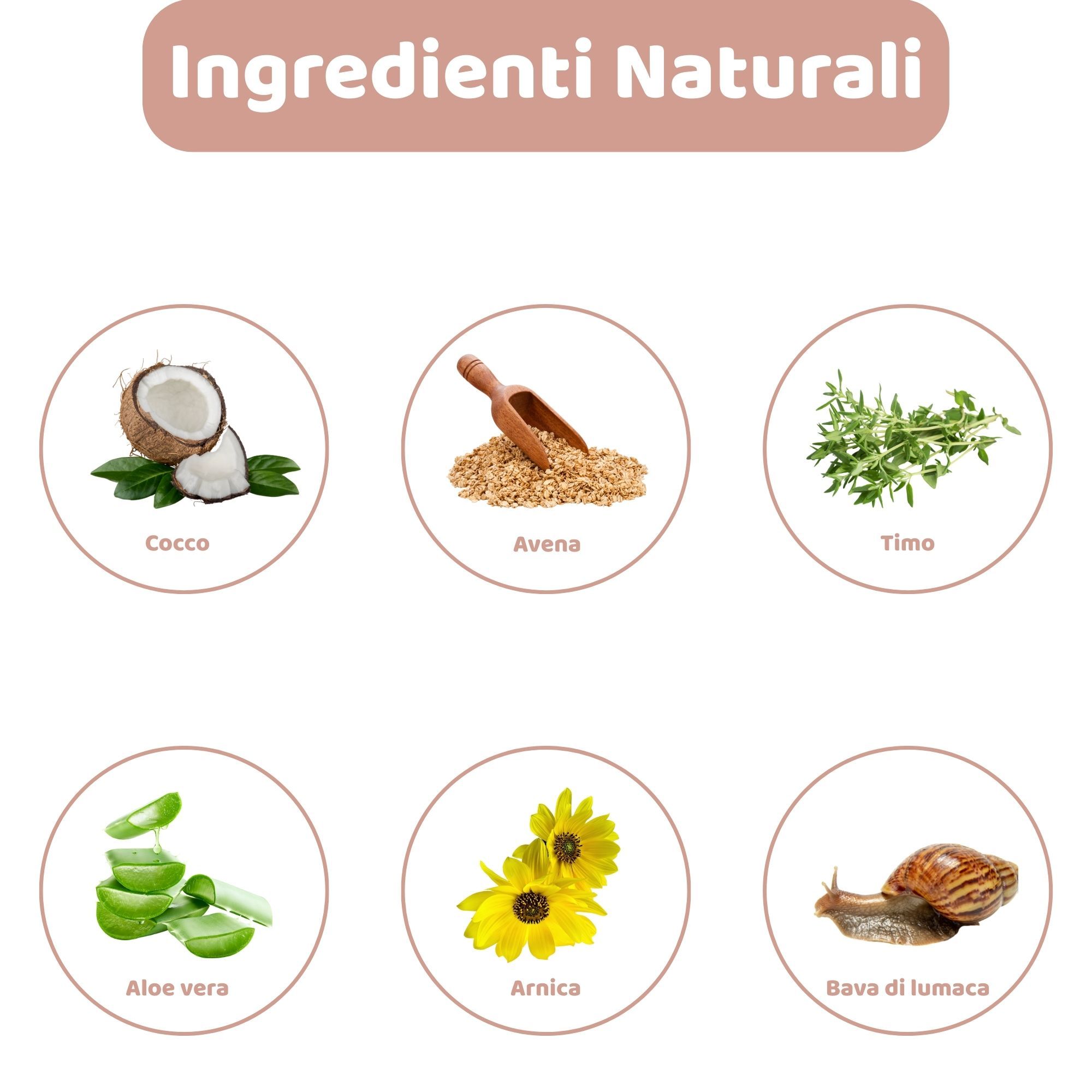 Immagini circolari di ingredienti: cocco, avena, timo, aloe vera, arnica, bava di lumaca.