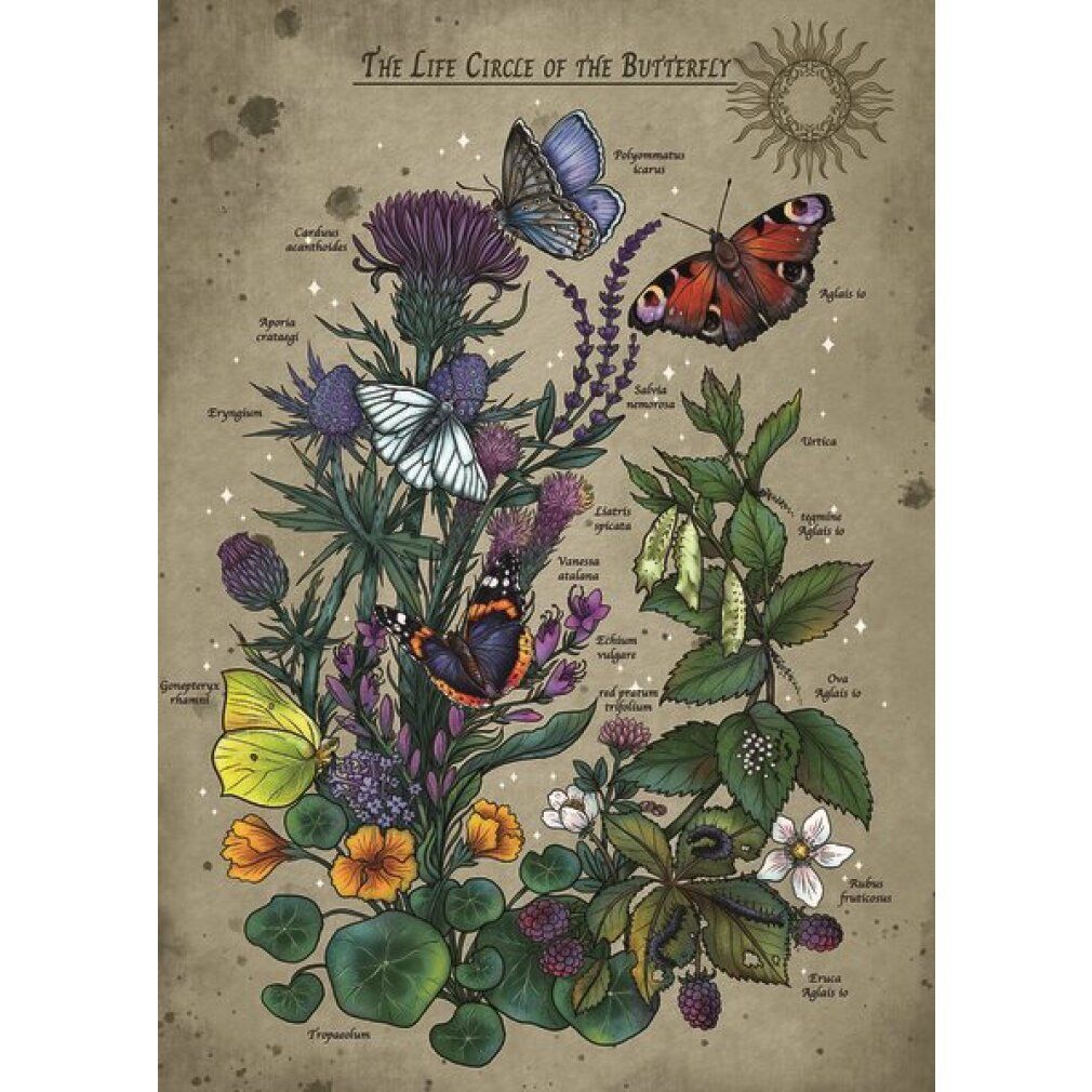 Ravensburger Lifecircle Butterfly