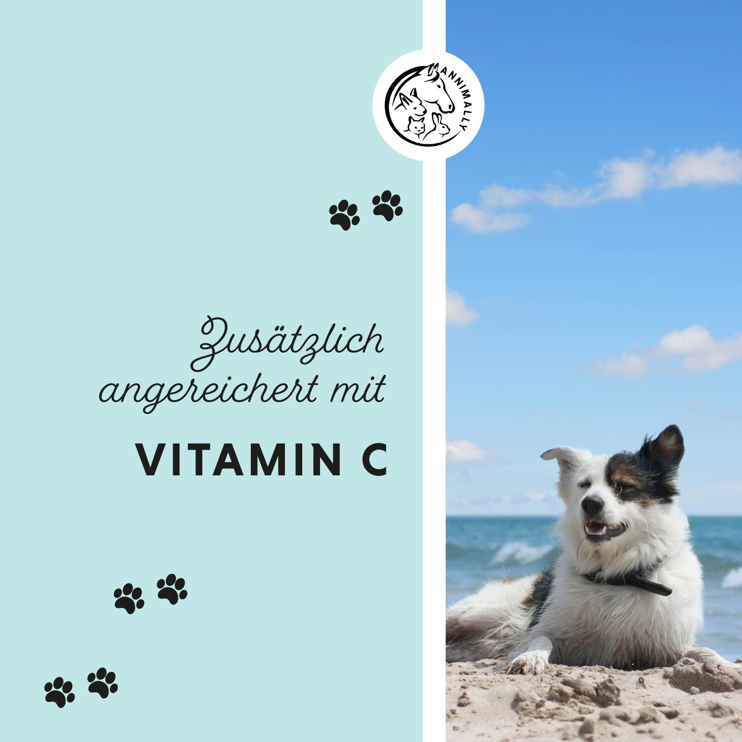 Cane sulla spiaggia. Testo: Arricchito con vitamina C. Logo e impronte di zampe.