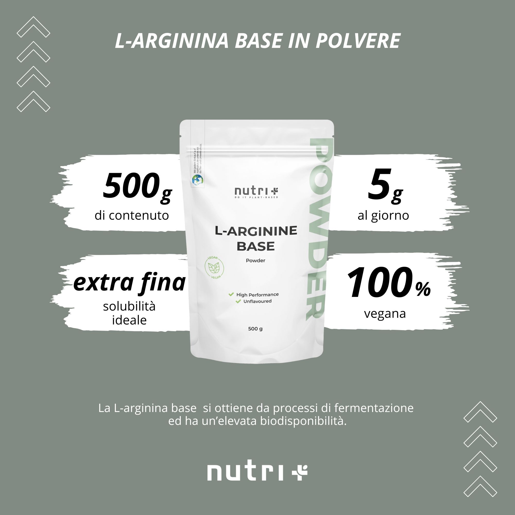 Grafica con prodotto e testo. L-Arginina Base in polvere. 500g di contenuto, 5g al giorno, 100% vegano.