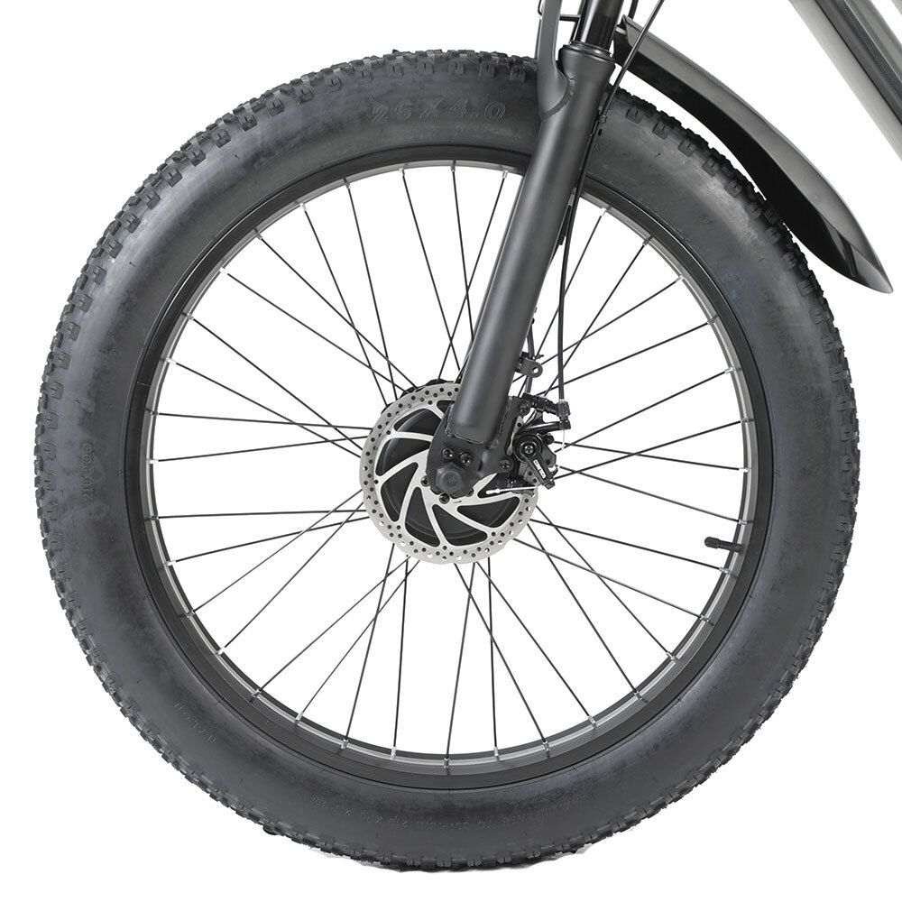 RICH BIT C01 Mountain bike elettrica, batteria da 48 V 20 Ah, sospensioni complete