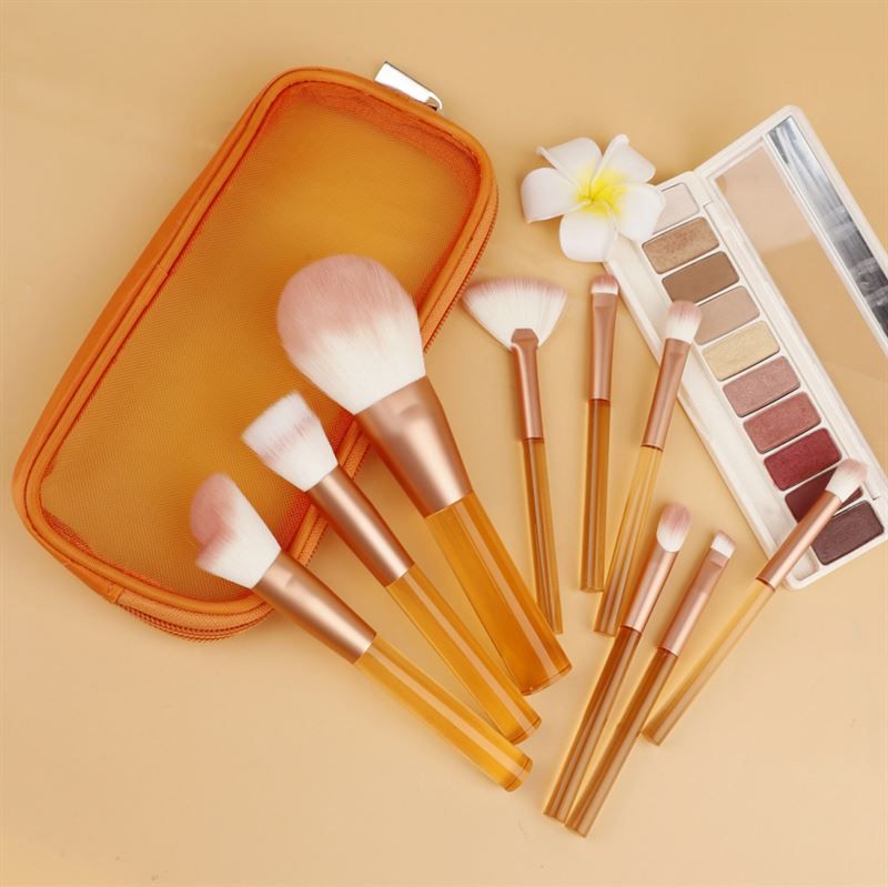 Set di pennelli per trucco con manici arancioni trasparenti, setole rosa, in una custodia arancione. Con palette.