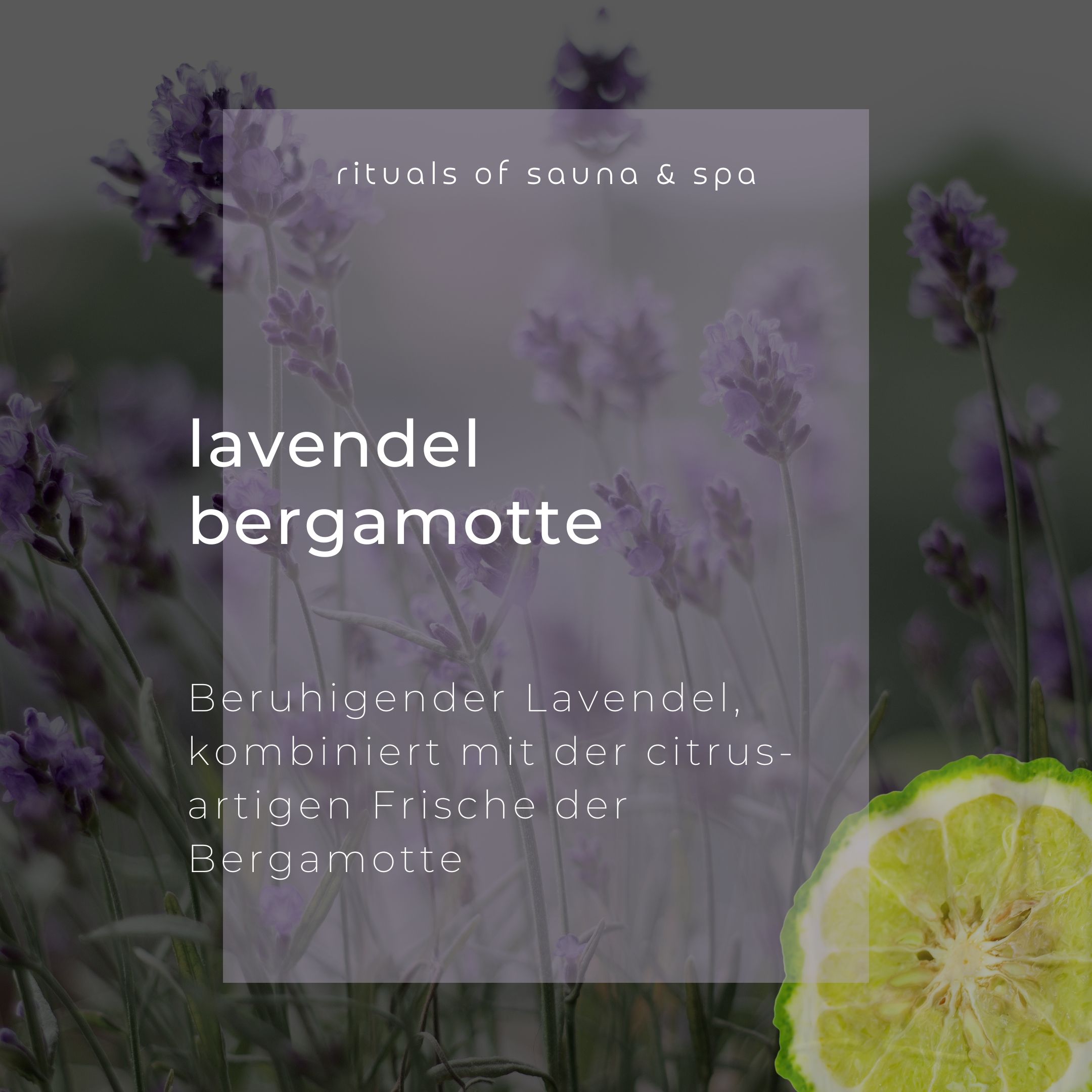 Testo su sfondo trasparente: Lavanda Bergamotto. Testo su lavanda e bergamotto. Fetta di bergamotto.