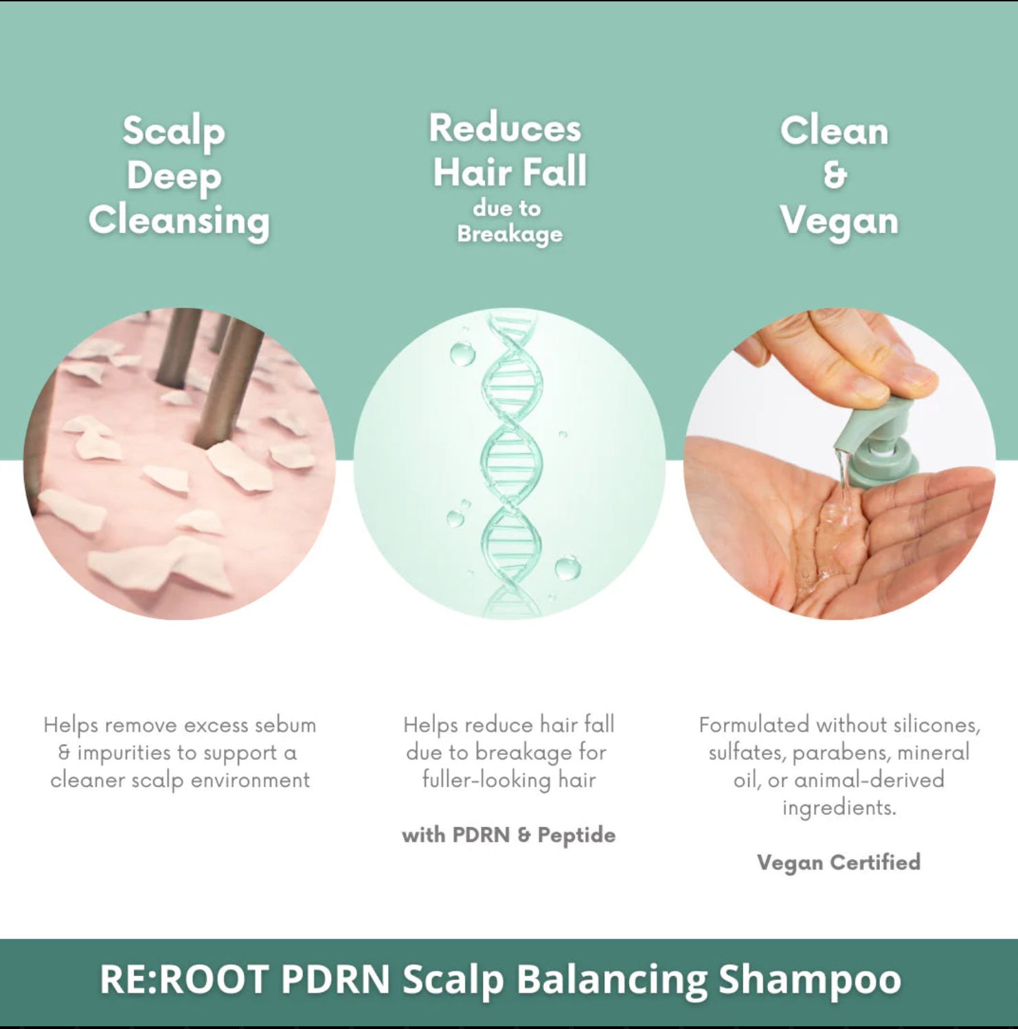 RE:ROOT – PDRN Scalp Balancing Shampoo