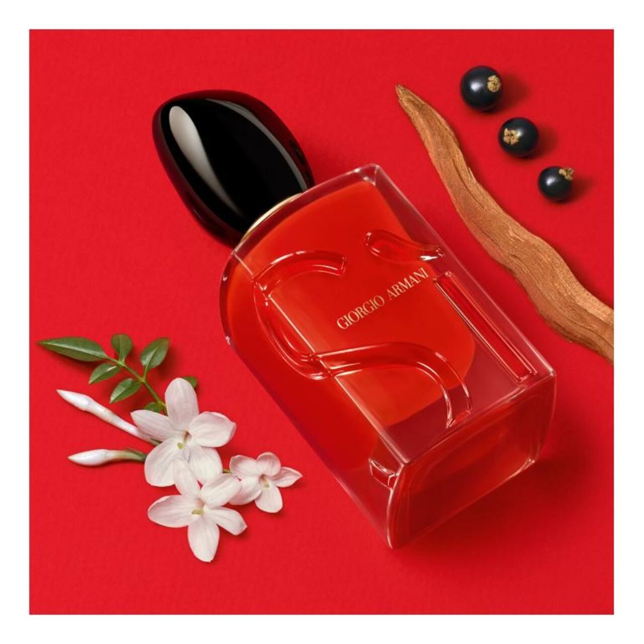 Flacone rosso con tappo nero. Logo Giorgio Armani. Su sfondo rosso. Fiori, bacche e pezzo di legno.