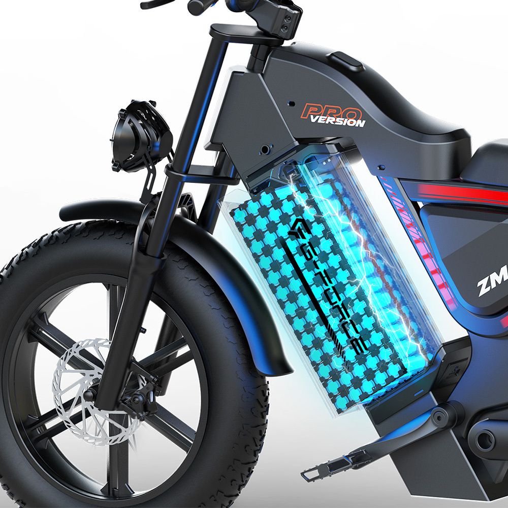 G-FORCE ZM PRO Mountain bike elettrica con batteria da 52V 40AH e doppia sospensione
