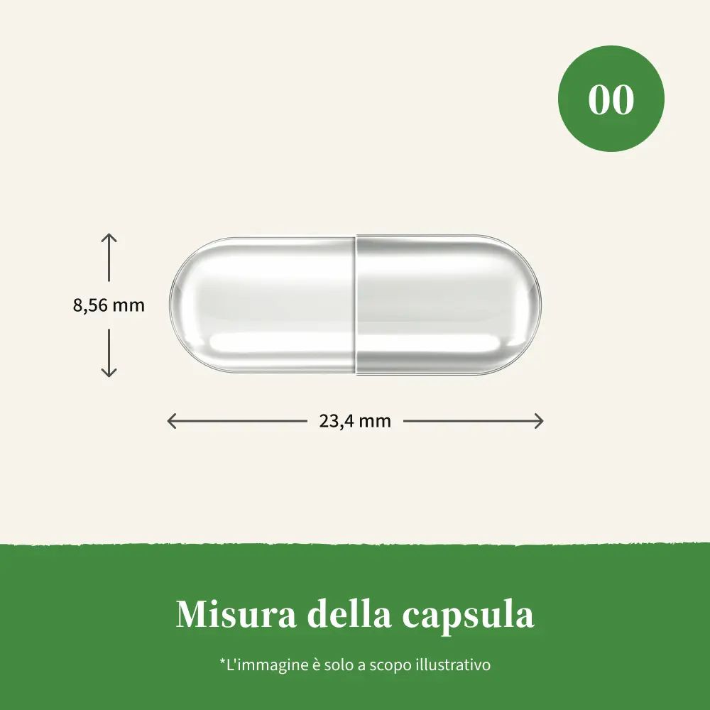 Capsula con dimensioni: 23,4 mm di lunghezza, 8,56 mm di diametro. Testo: Misura della capsula.