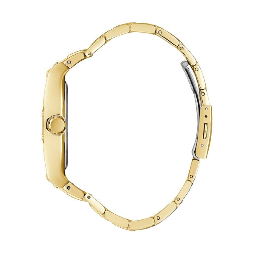 Indovina Phoenix GW0456G1 Men's Watch