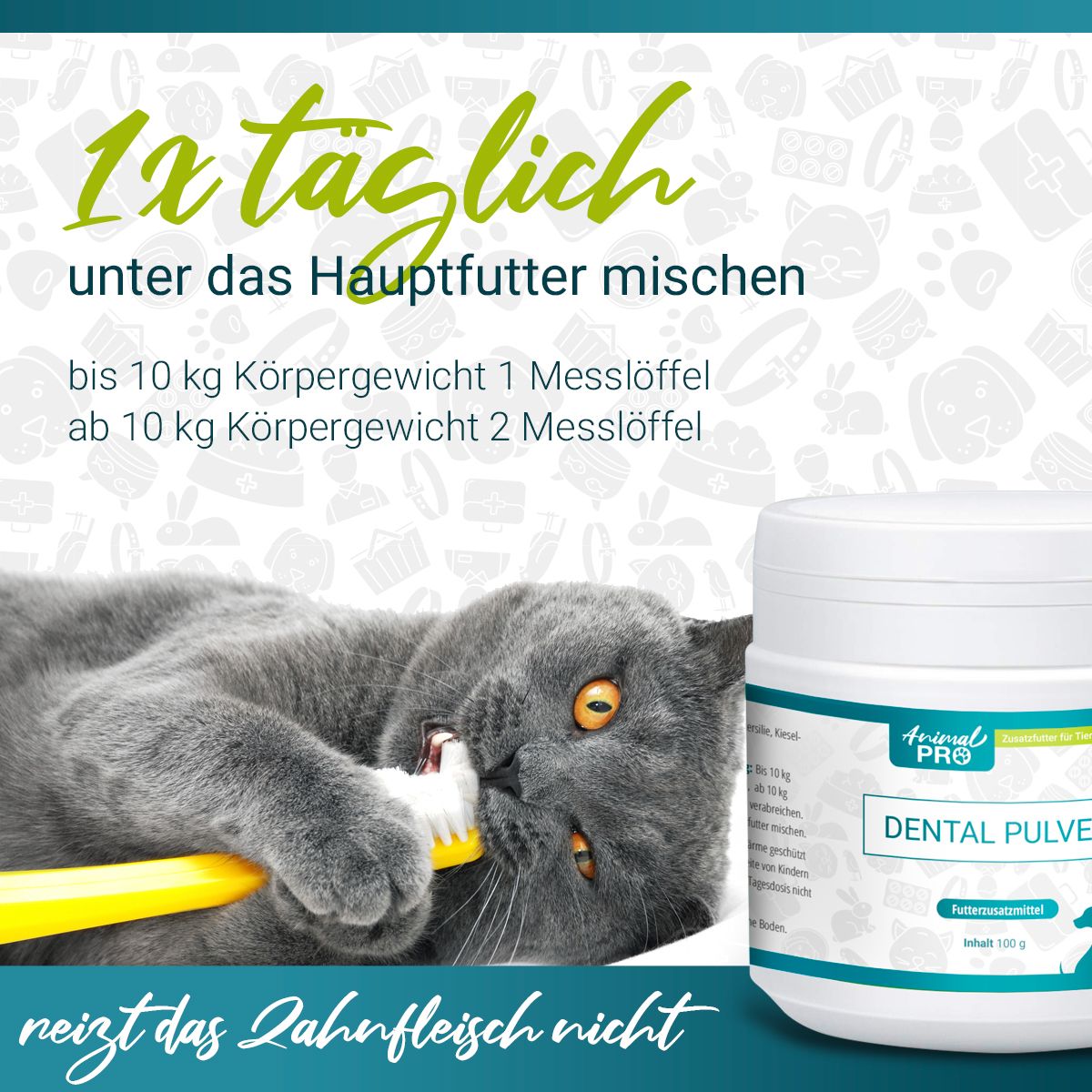 Gatto che si lava i denti con lo spazzolino, accanto al barattolo DENTAL PULVER. Testo: Mescolare 1 volta al giorno con il cibo principale. Non irrita le gengive.