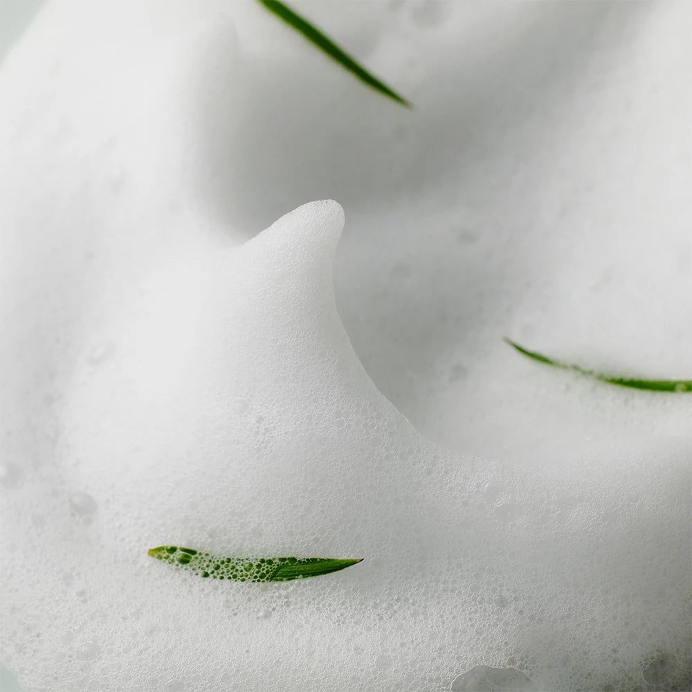 Schiuma bianca con foglie verdi. Primo piano. Visibili la consistenza della schiuma e delle foglie.