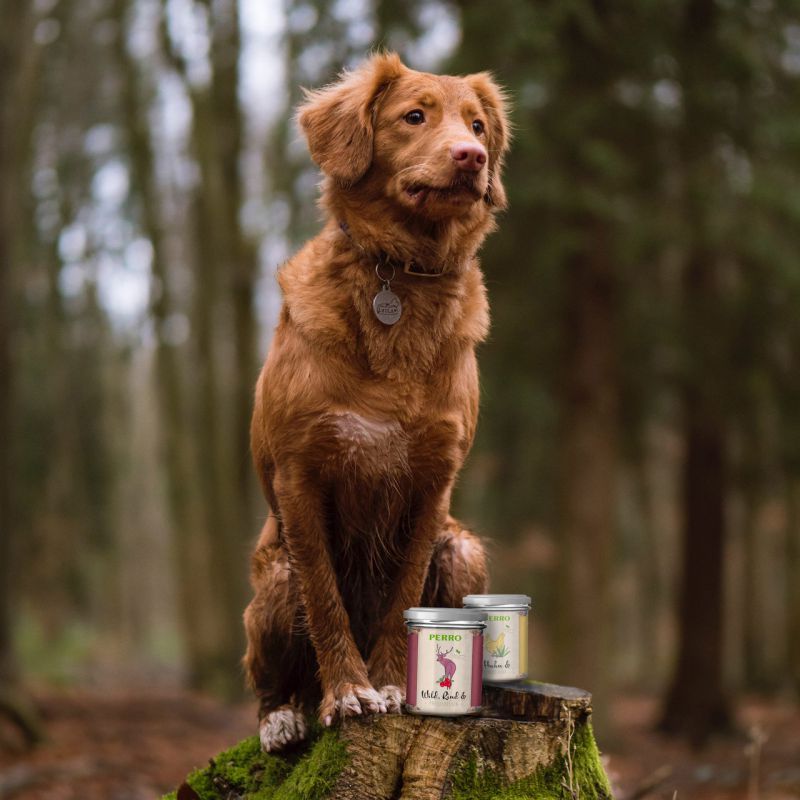 Cane seduto su un ceppo. Due vasetti con etichette. Scritta PERRO. Testo: Rind & Grünlippmuschel.