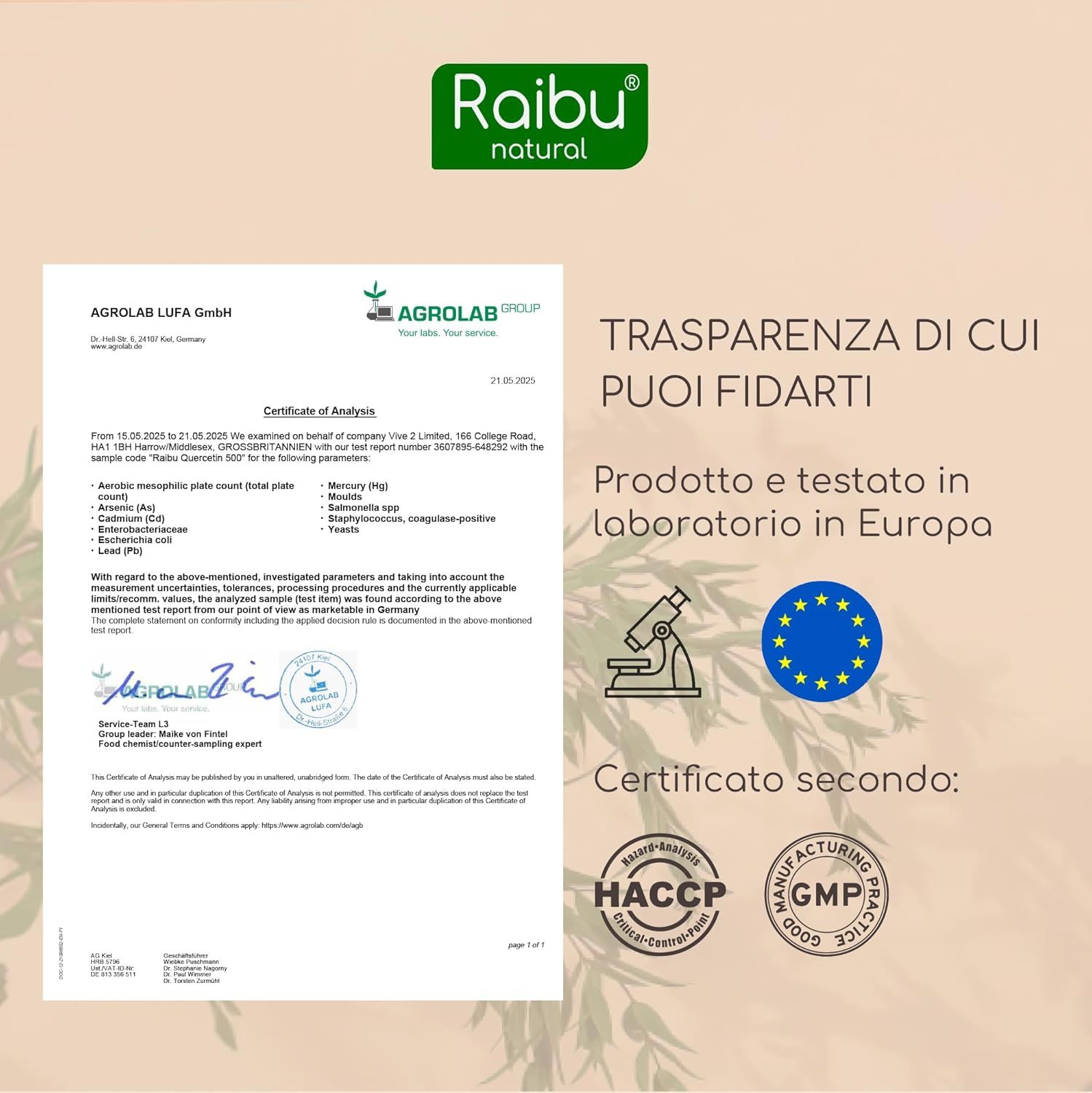 Quercetina Capsule 500mg Alto Dosaggio - RAIBU