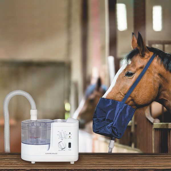 Inalatore per cavalli, bianco. Con tubo e maschera sul cavallo. Cavallo nella stalla, maschera blu.