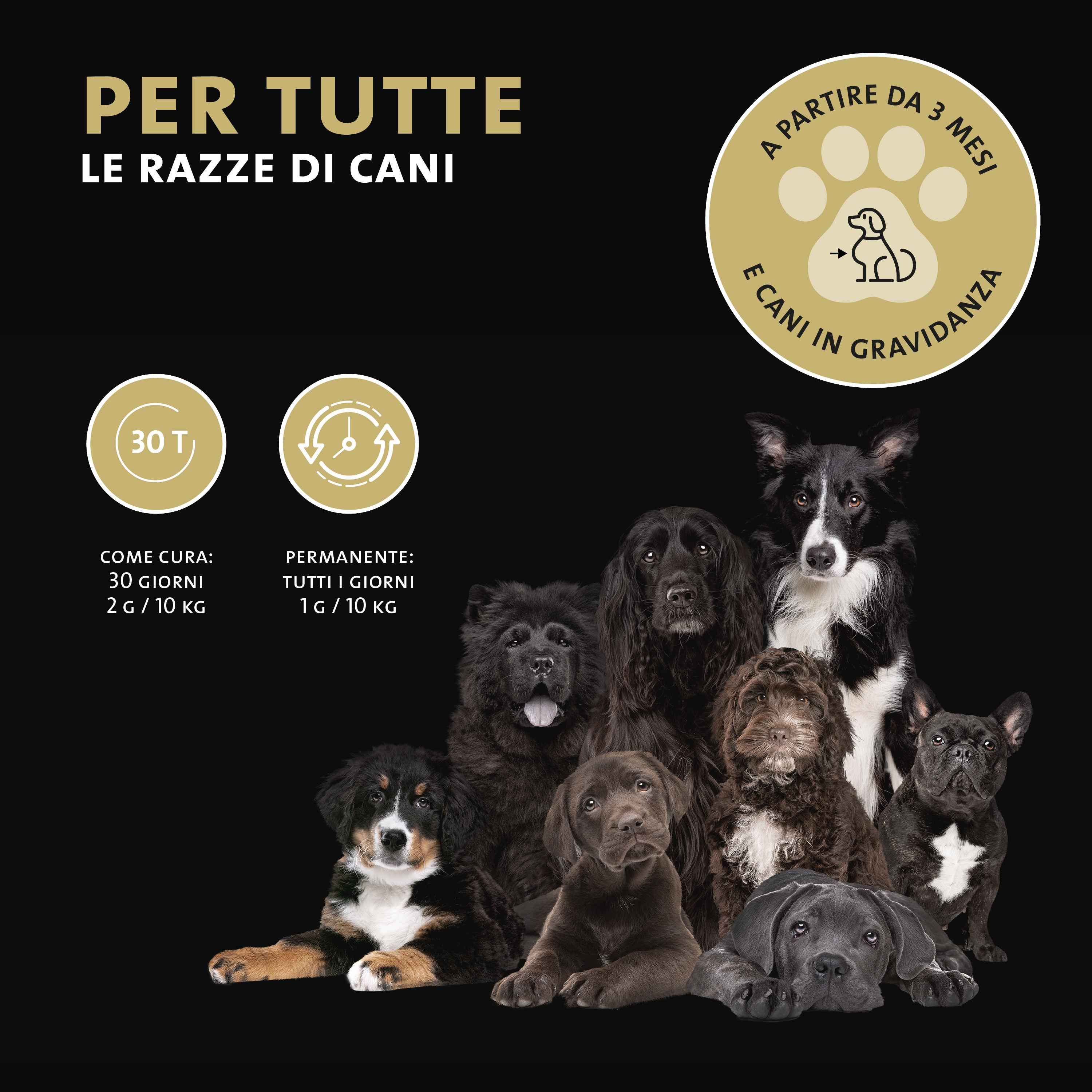 Peticare Diät-Mix polvere per cani in contenitore nero con motivo di cane.