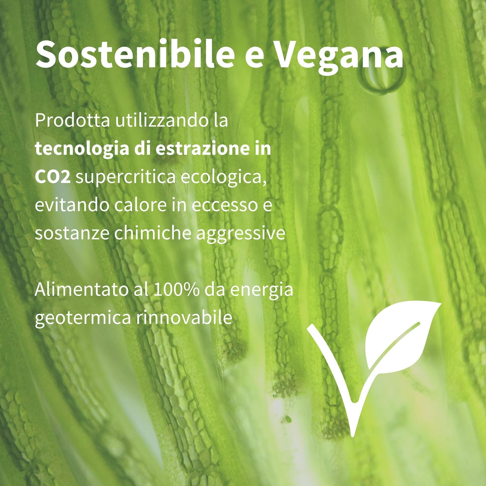 Sfondo verde con microalghe e testo sulla produzione sostenibile e vegana di astaxantina.