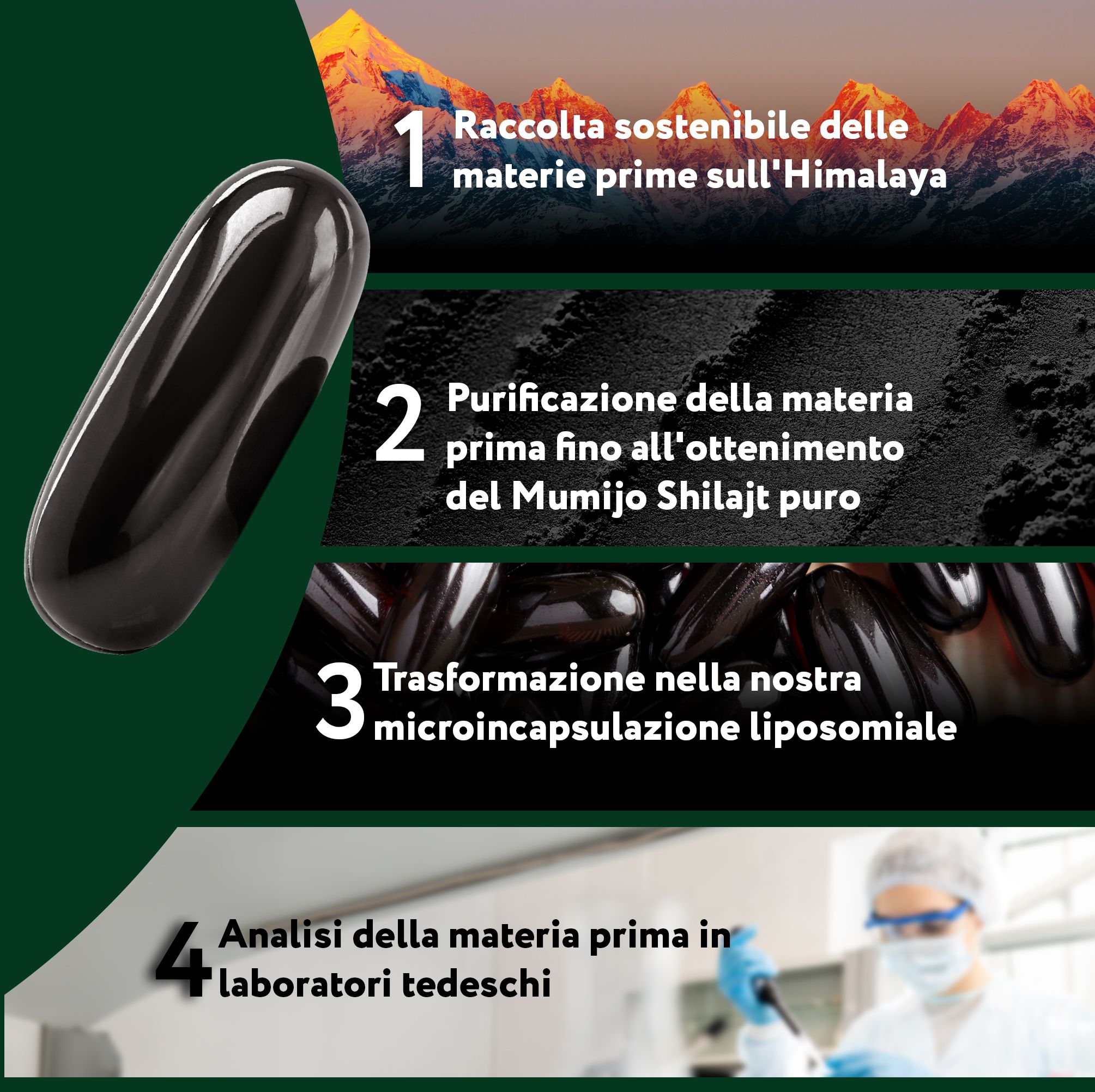 Processo di produzione del Mumijo Shilajit: raccolta, purificazione, micro-incapsulamento, analisi.