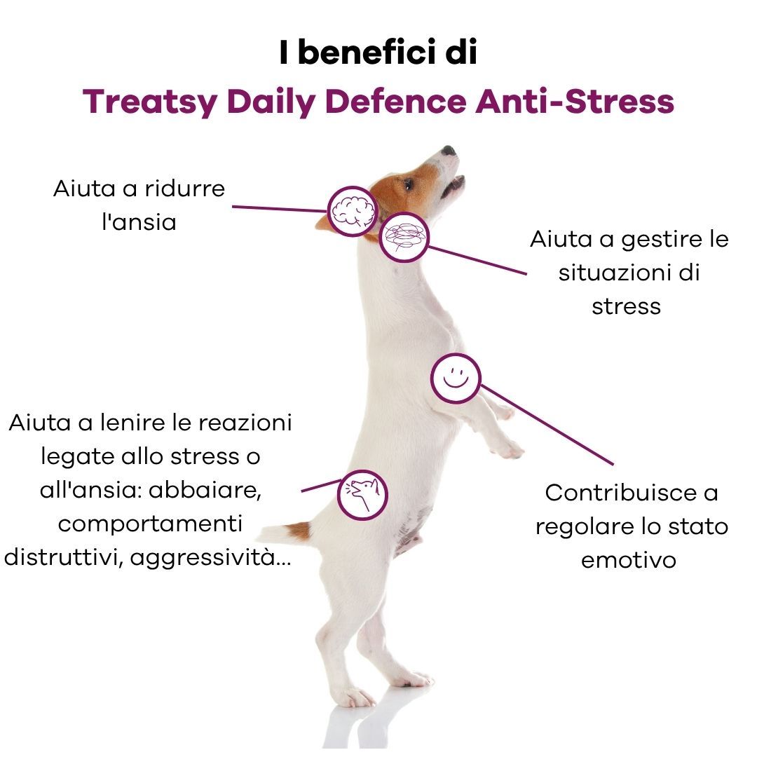 Un cane in piedi mostra i benefici di un prodotto anti-stress, con icone per cervello, sorriso e zampa.