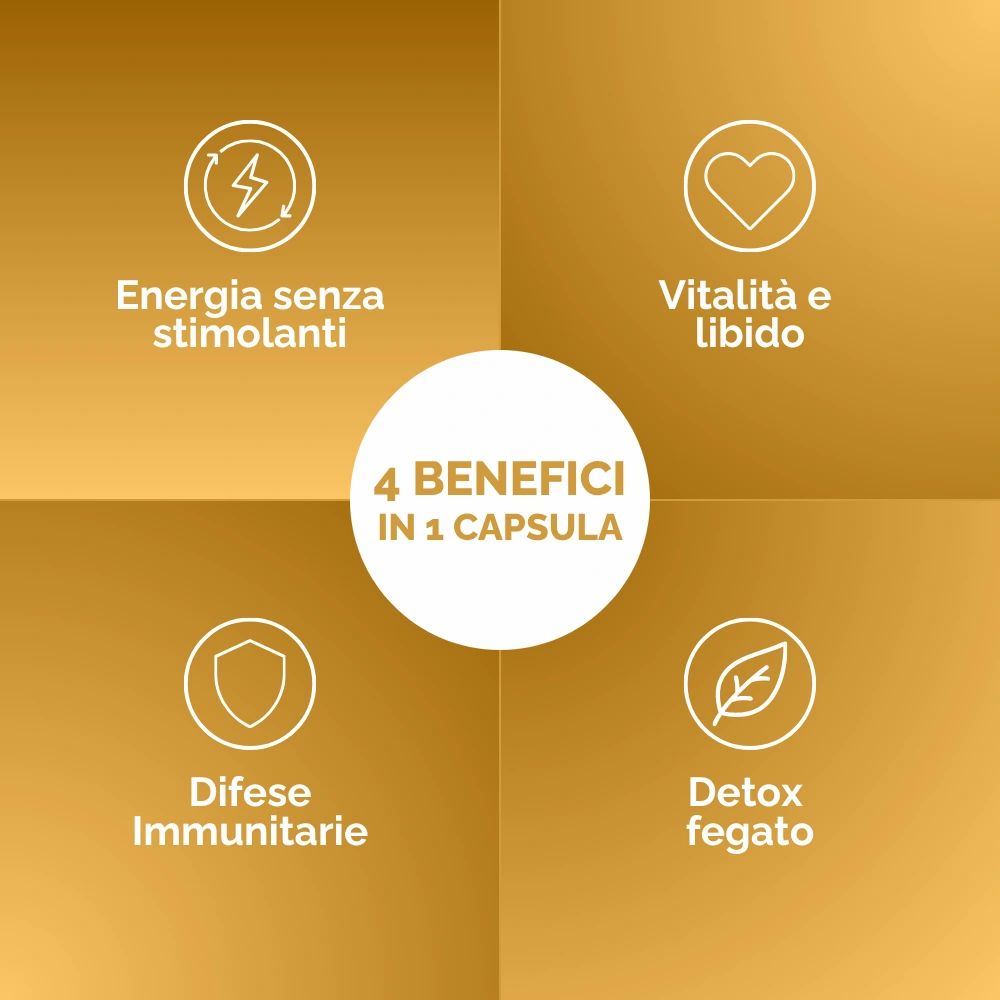 Oravita CORDYCEPS Estratto Micelio Titolato 40% Energia, Immunità e Vitalità