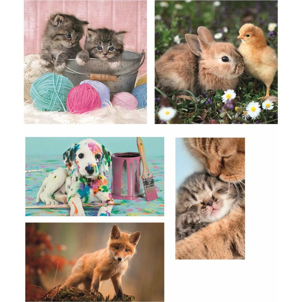 Cinque motivi di puzzle con animali: gatti in un secchio, coniglio e pulcino, cane con vernice, gatto e gatto, volpe. Senza nome.