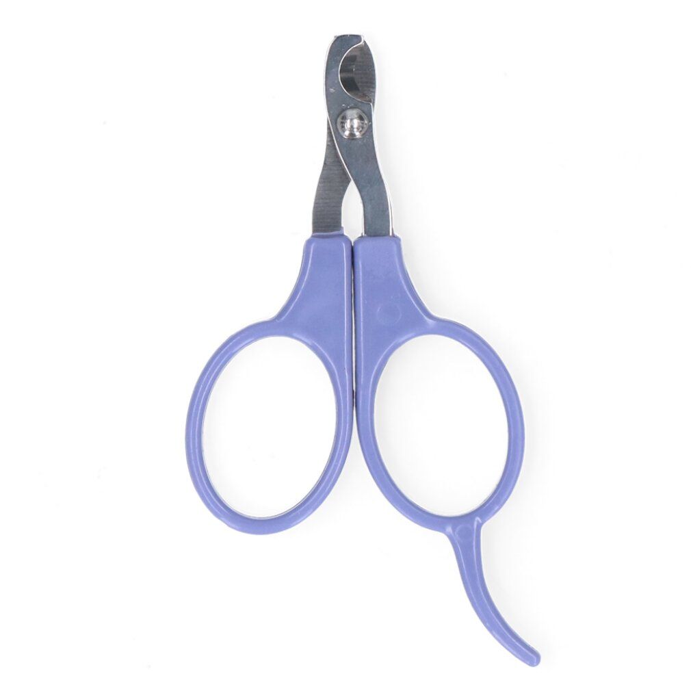 Tronchesi per unghie blu e argento. Manici con due aperture. Lame metalliche per il taglio. Su sfondo bianco.